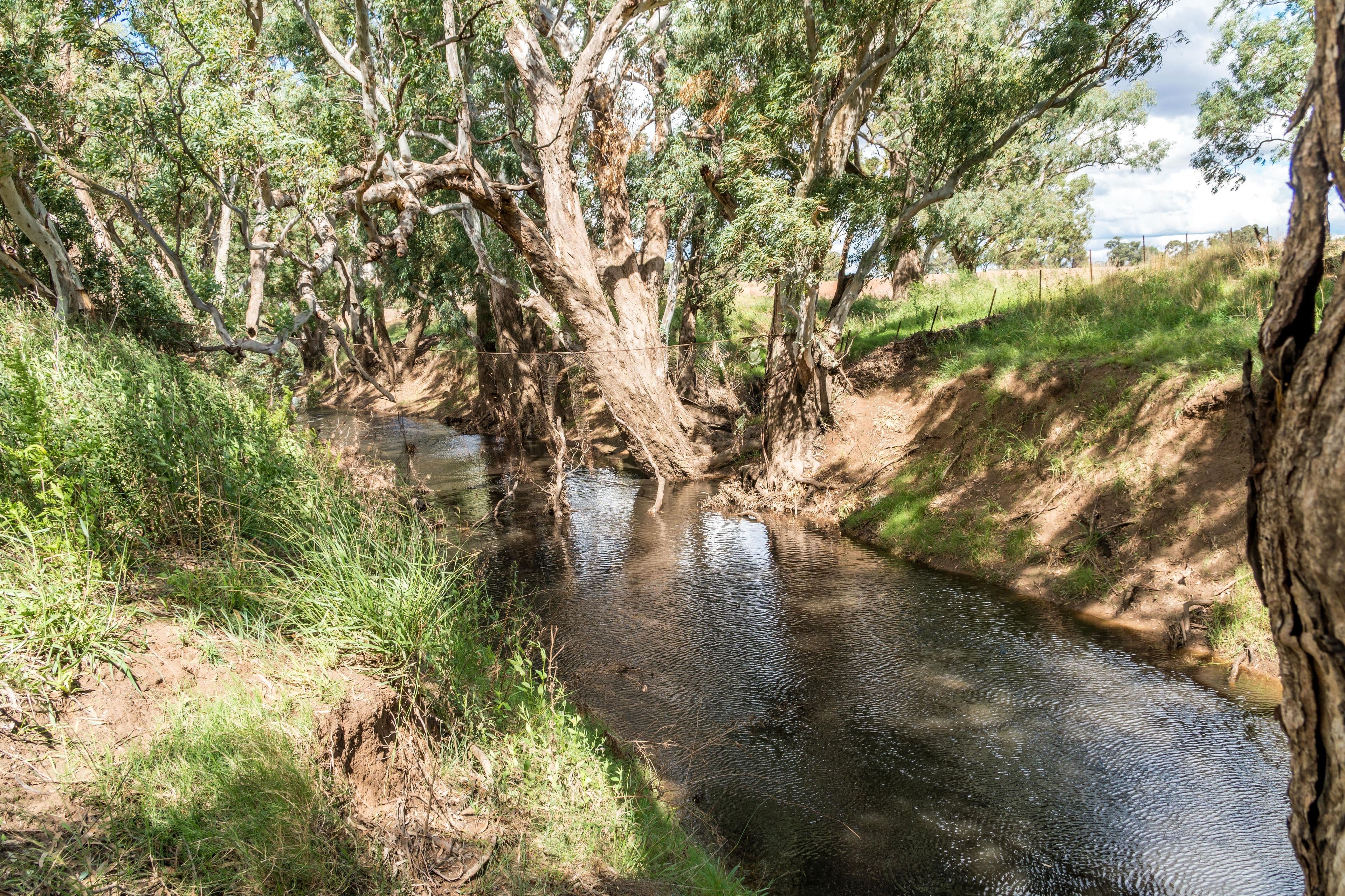 46 Delaneys Road, Cowra NSW 2794, Cowra - Thumbnail 3