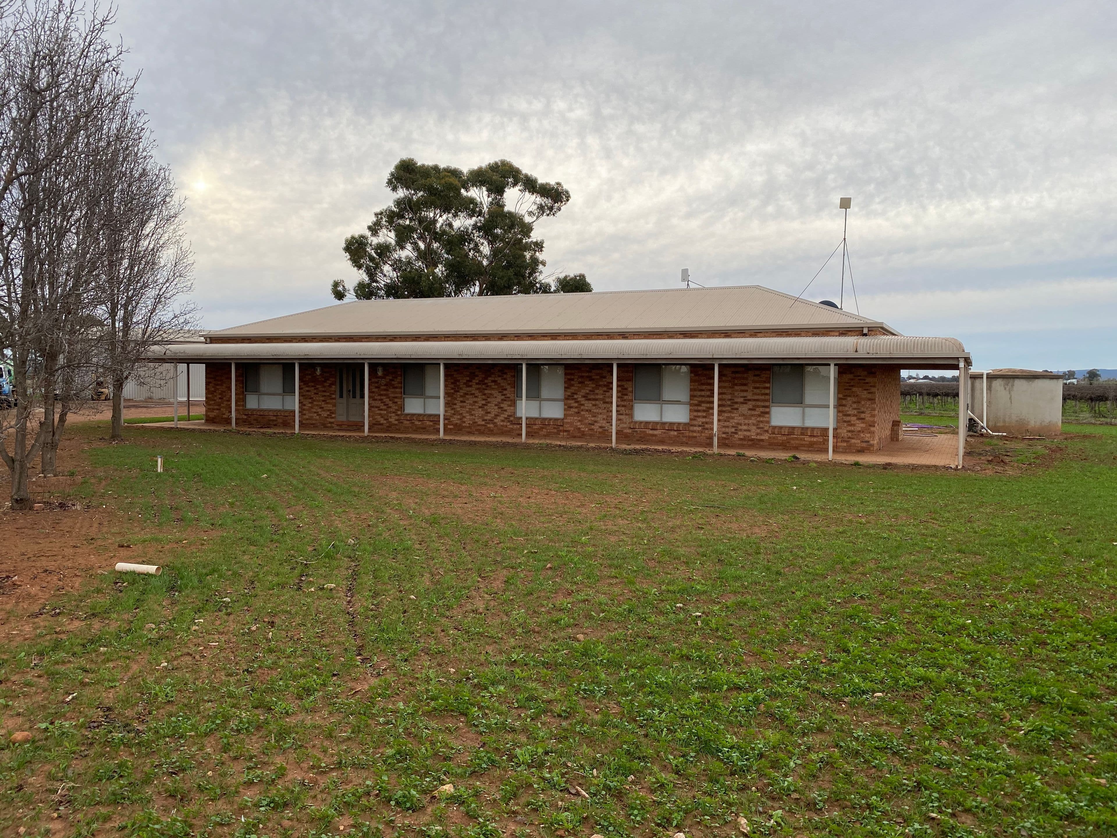 87 Mc Clure Road, Yenda NSW 2681, Yenda - Thumbnail 2
