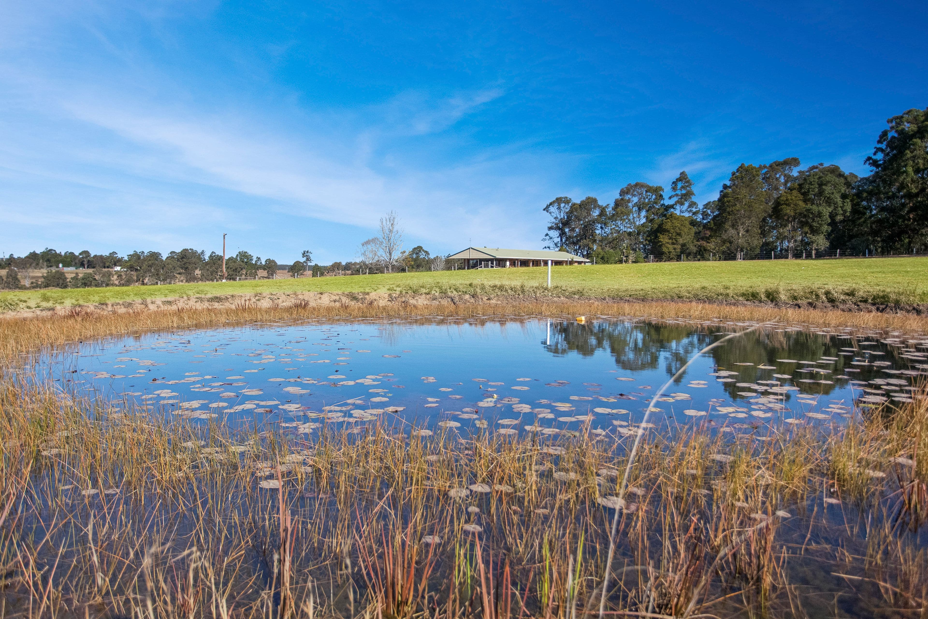 1128 Comboyne Road, Wingham NSW 2429, Wingham - Thumbnail 6