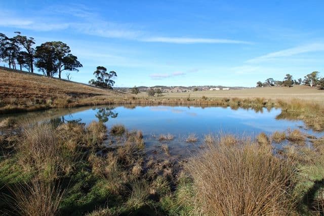 Lot 22-265 Baileys Lane, Oberon NSW 2787, Oberon - Thumbnail 4