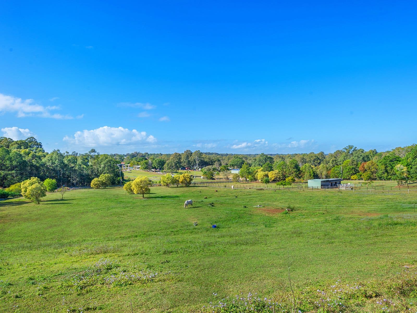 11 McCullagh Crescent, Narangba QLD 4504, Narangba - Thumbnail 5