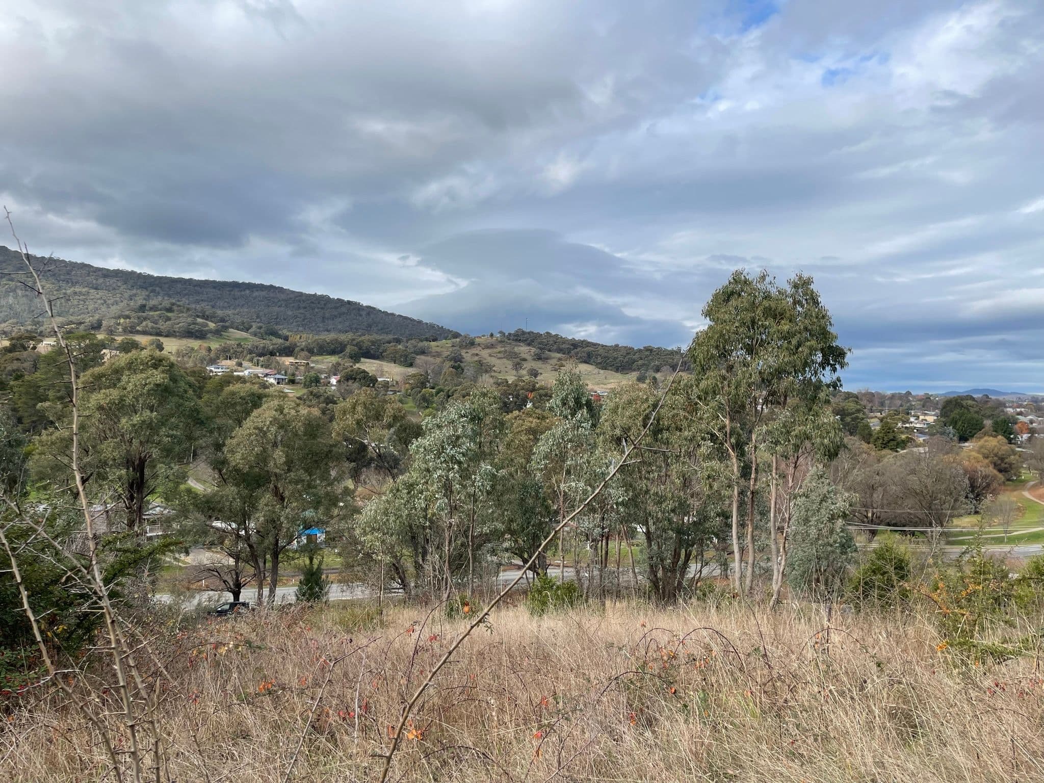 Tumbarumba NSW 2653, Tumbarumba - Thumbnail 7