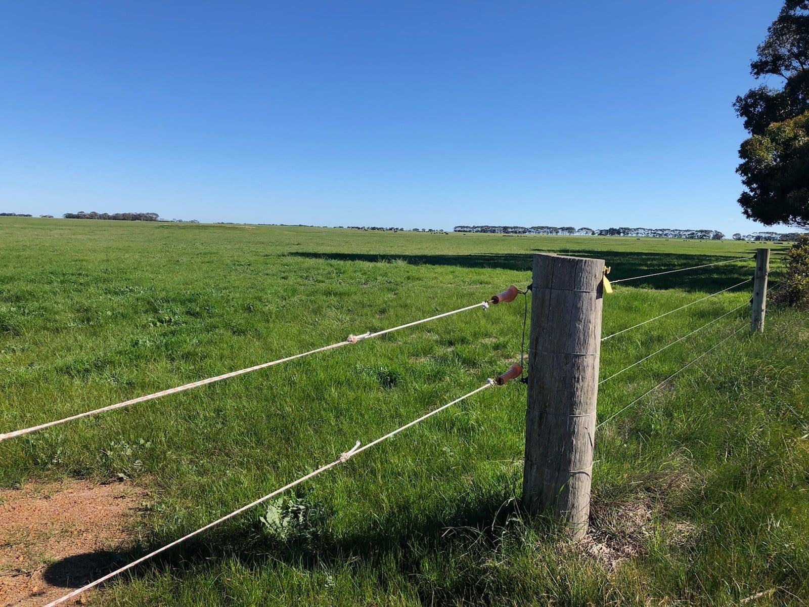 3159 Springdale Road, Jerdacuttup WA 6346, Jerdacuttup - Thumbnail 4