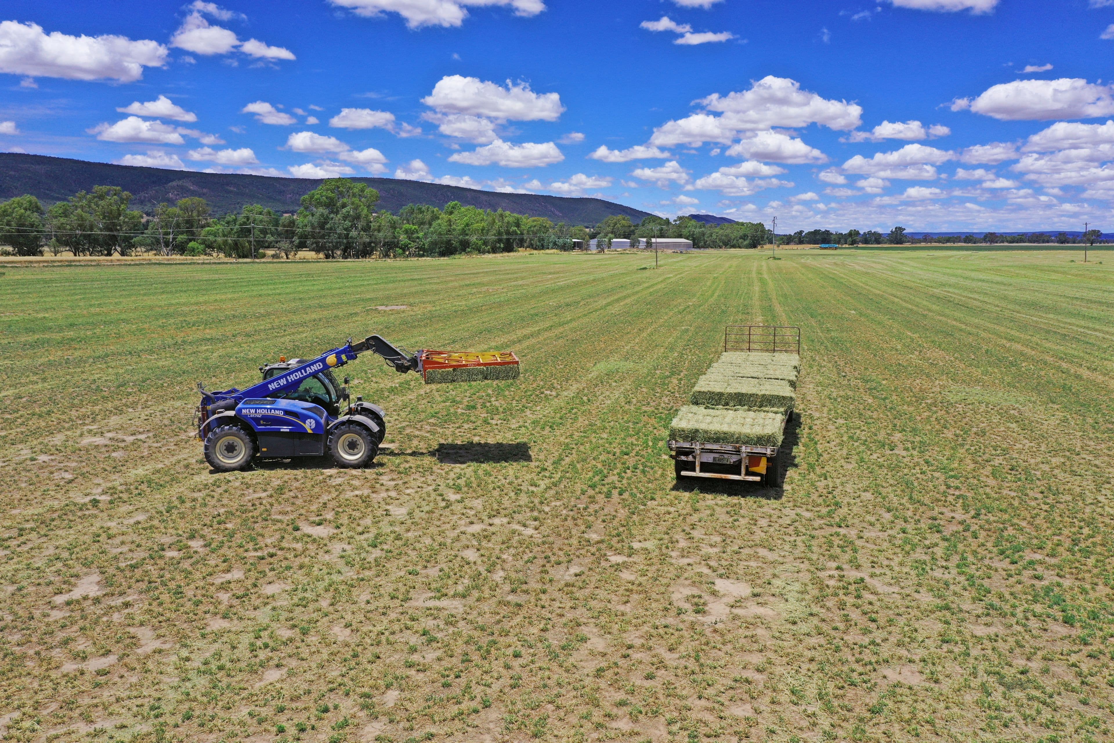 YOUNG NSW 2594, Young - Thumbnail 4