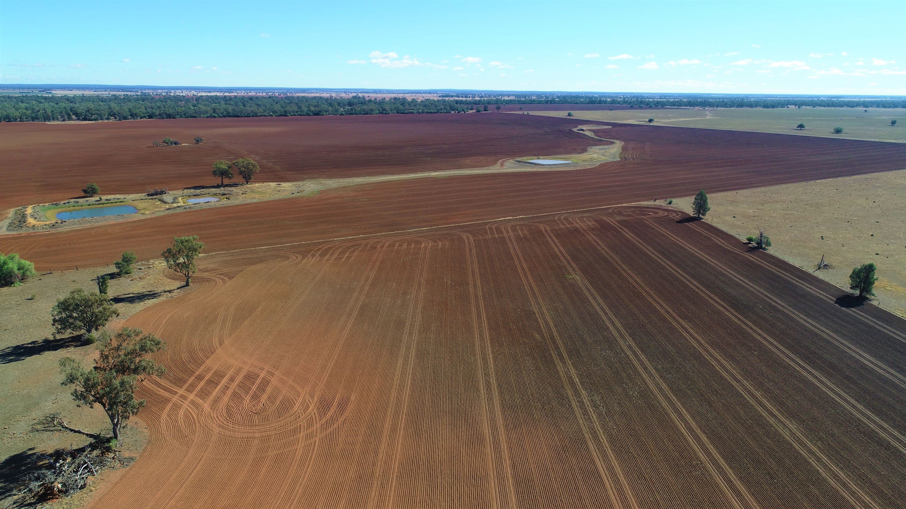 Rosehill and Windella, PEAK HILL NSW 2869, Peak Hill - Image 1