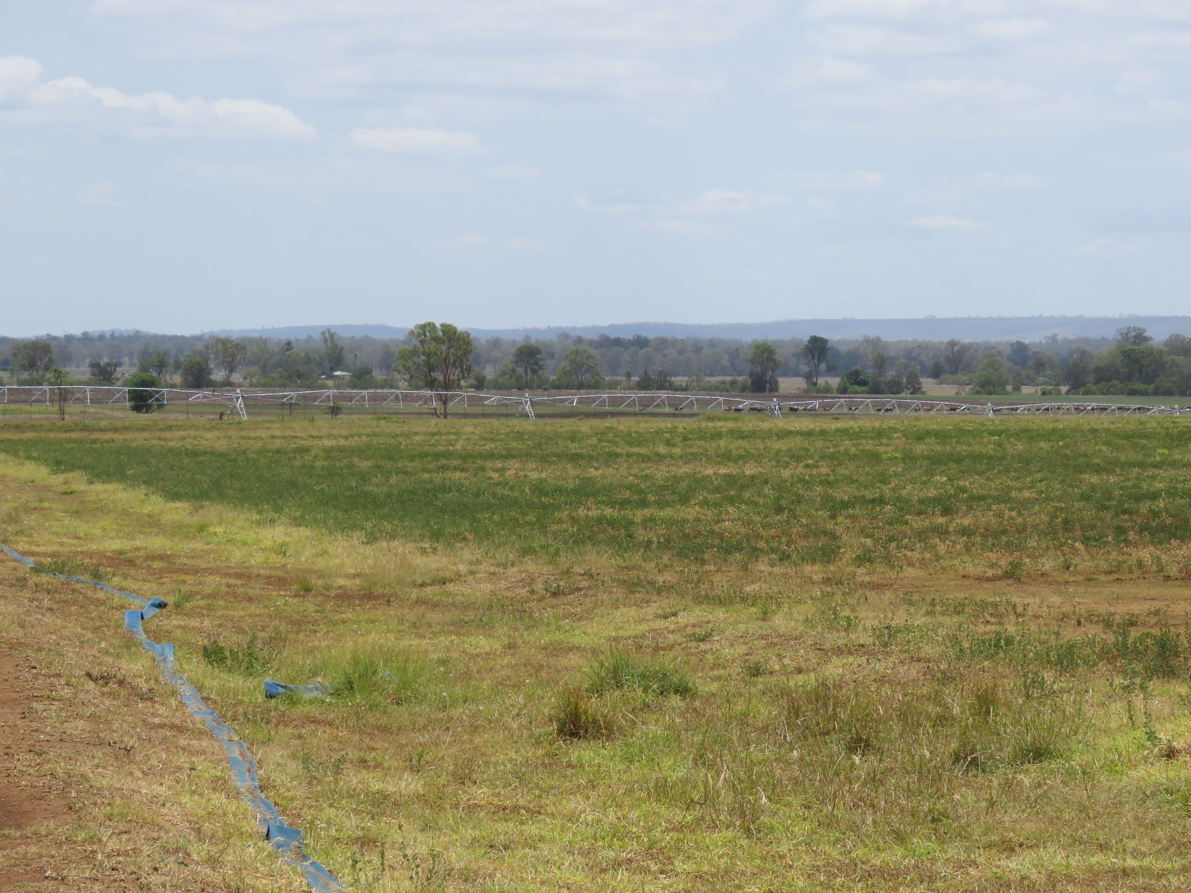 848 Mondure Wheatlands Road, Mondure QLD 4611, Mondure - Thumbnail 2