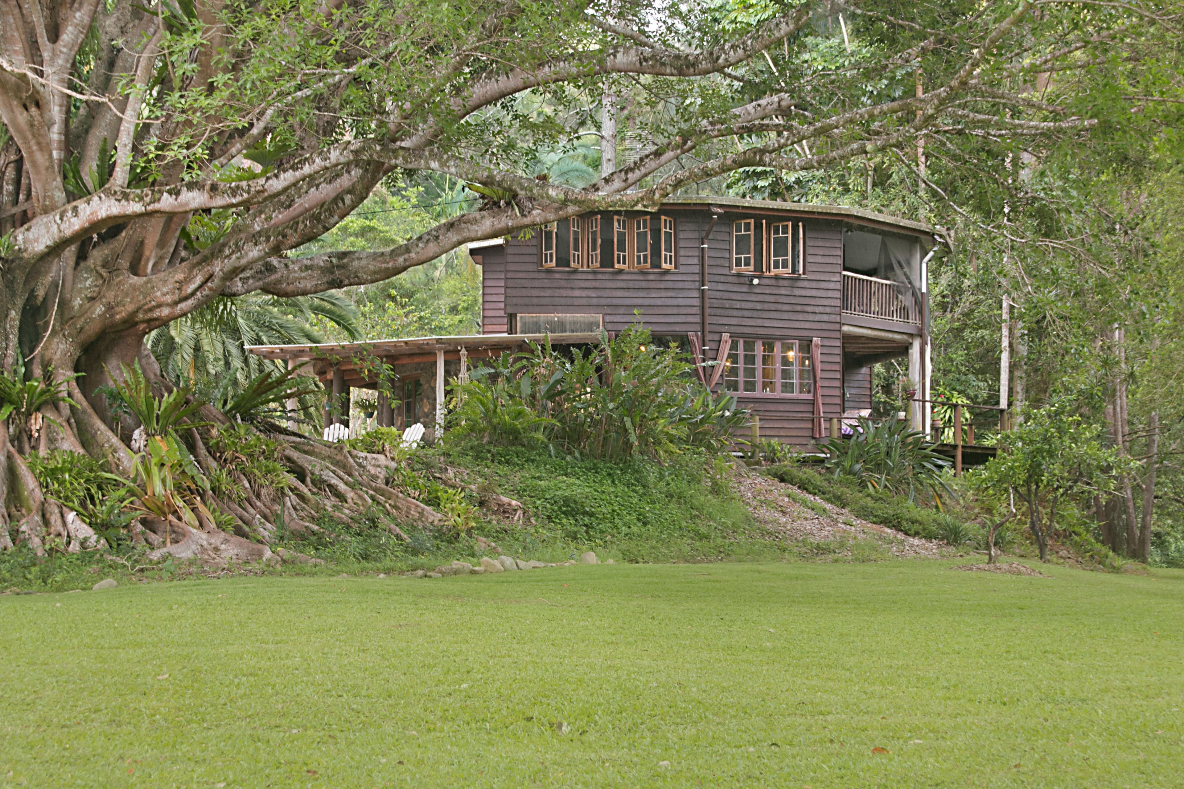 456 Upper Crystal Creek Road, Upper Crystal Creek NSW 2484, Upper Crystal Creek - Image 1
