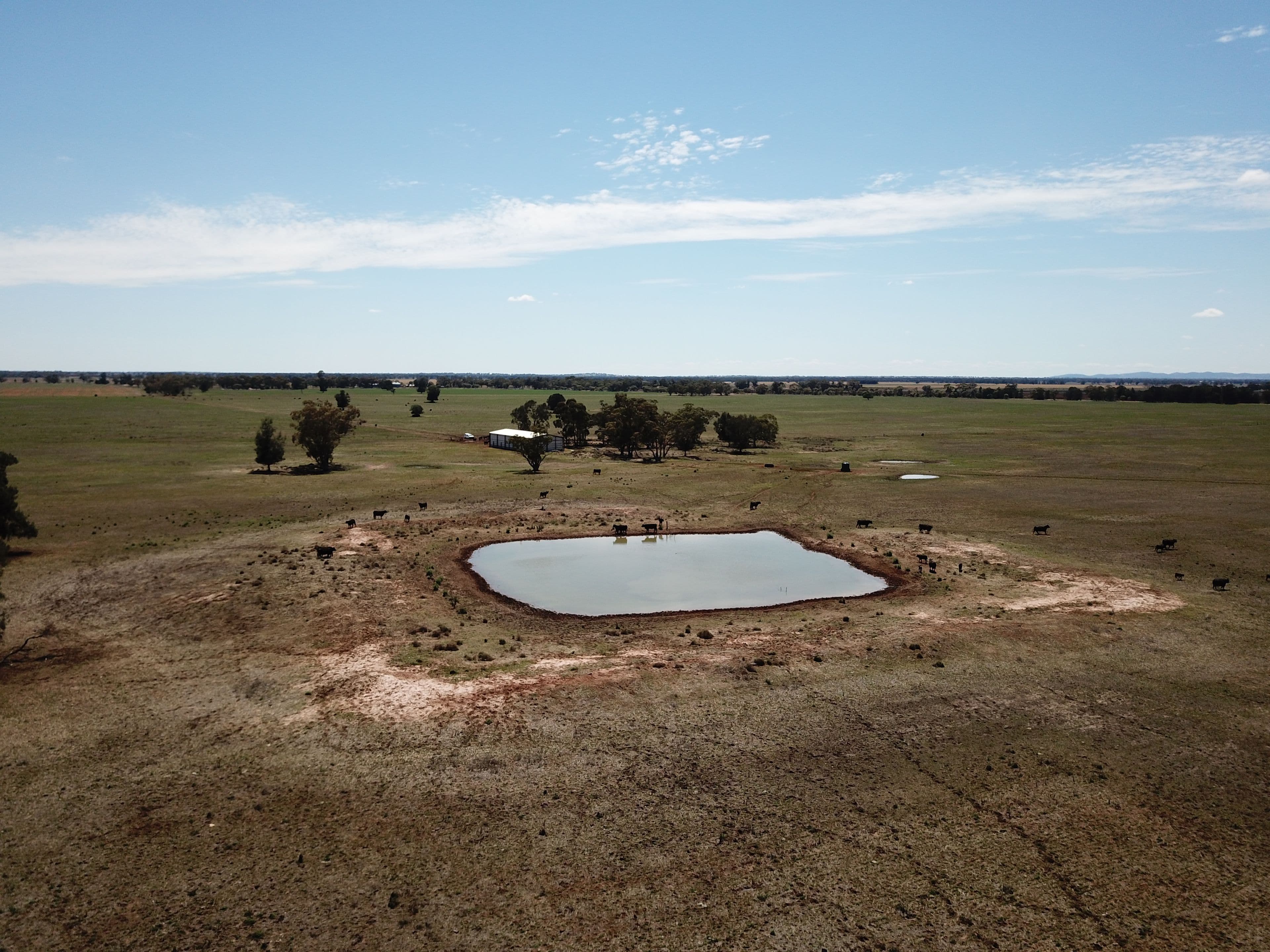 'Glengarry' Wyanga Road, Narromine NSW 2821, Narromine - Thumbnail 3