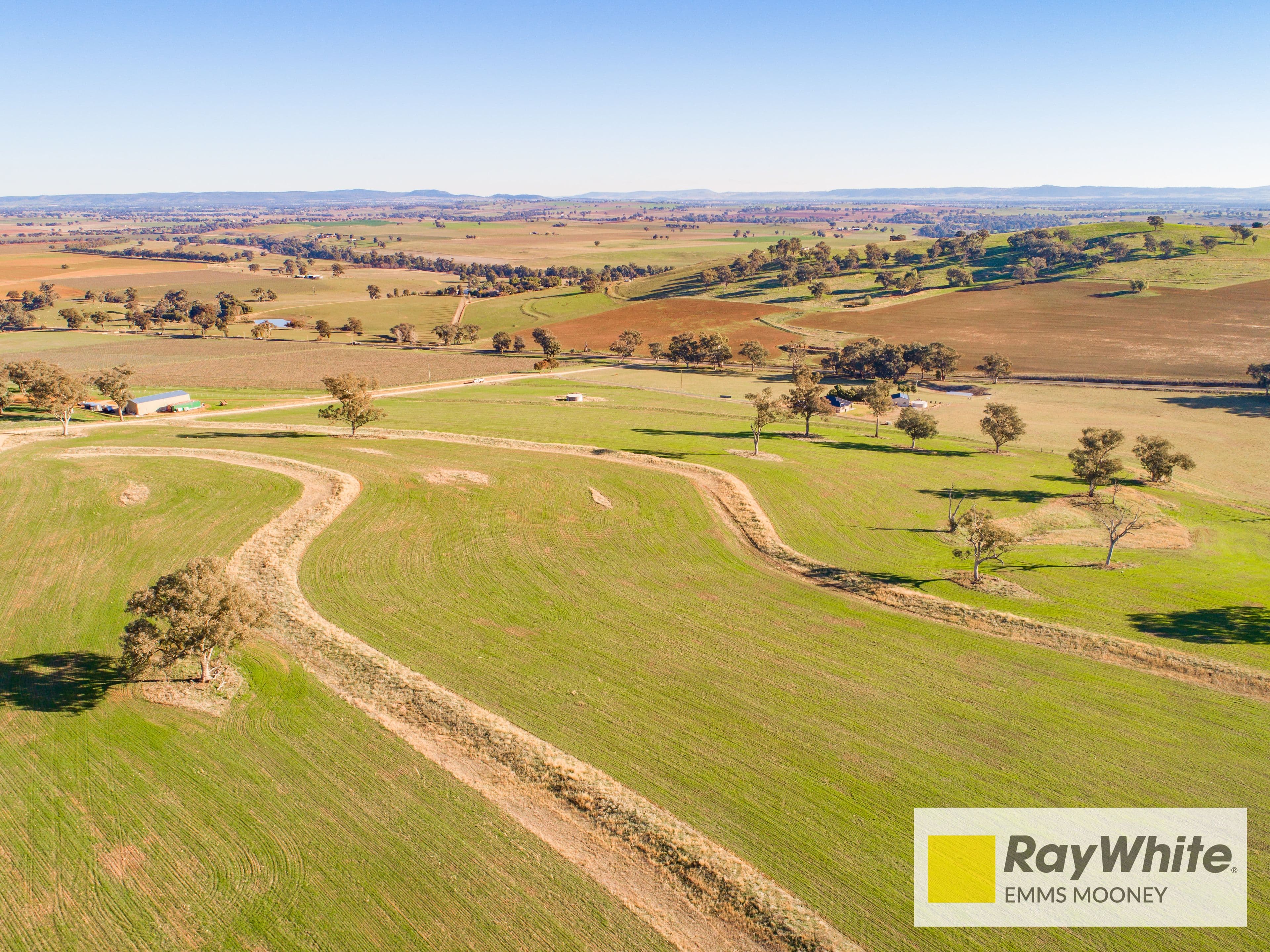 855B Darbys Falls Road, Cowra NSW 2794, Cowra - Thumbnail 3