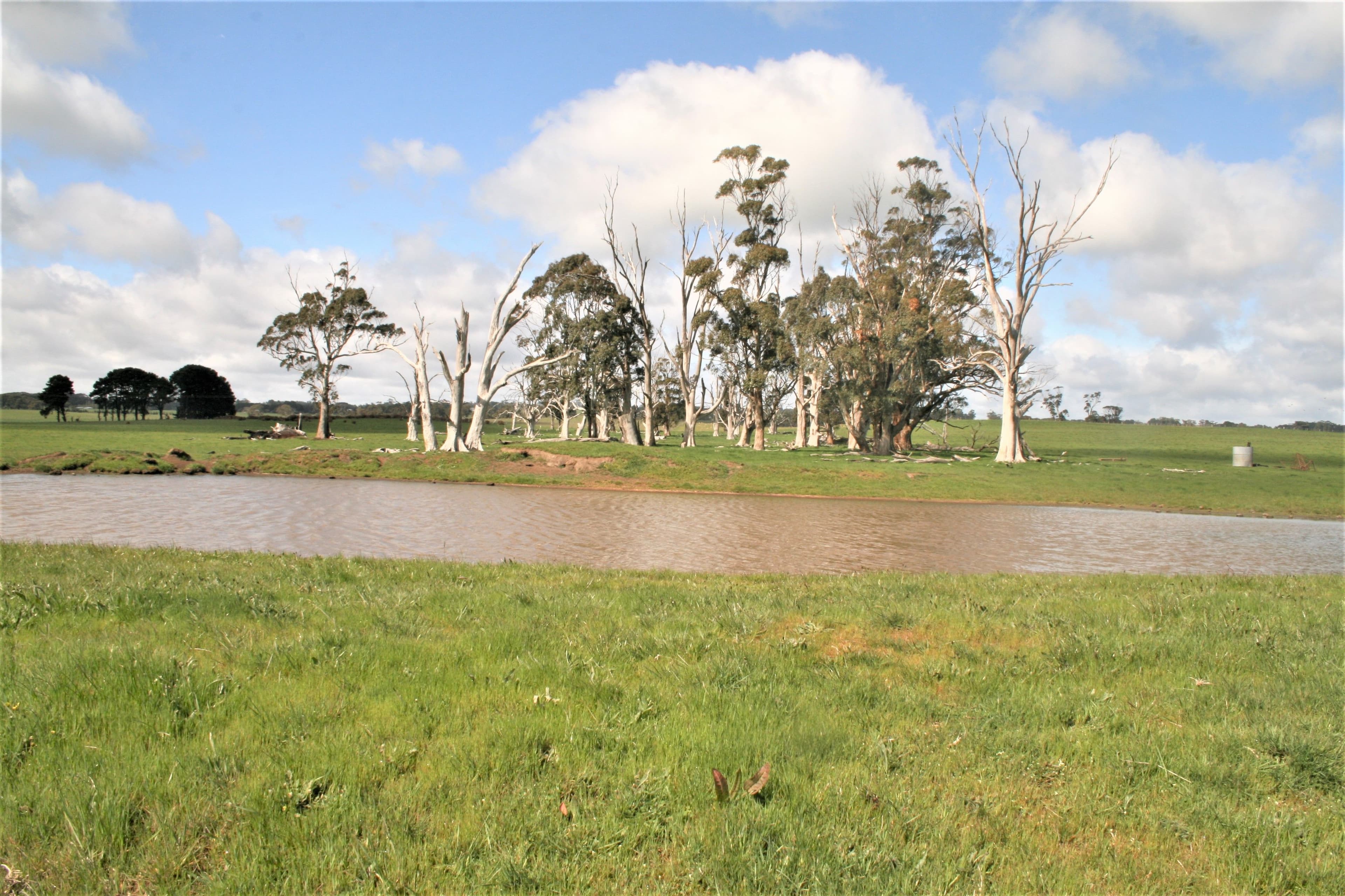 00 Trentham Road, Tylden VIC 3444, Tylden - Thumbnail 6