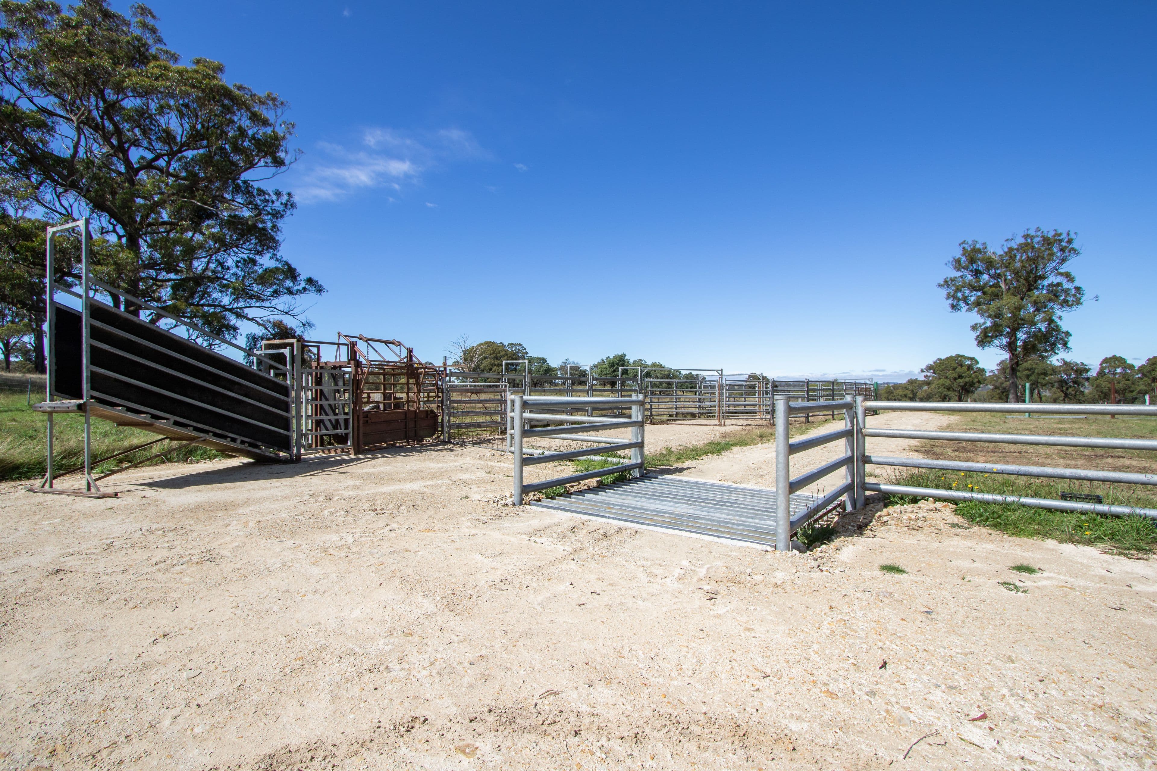 479 Whans Road, Llangothlin NSW 2365, Llangothlin - Thumbnail 4
