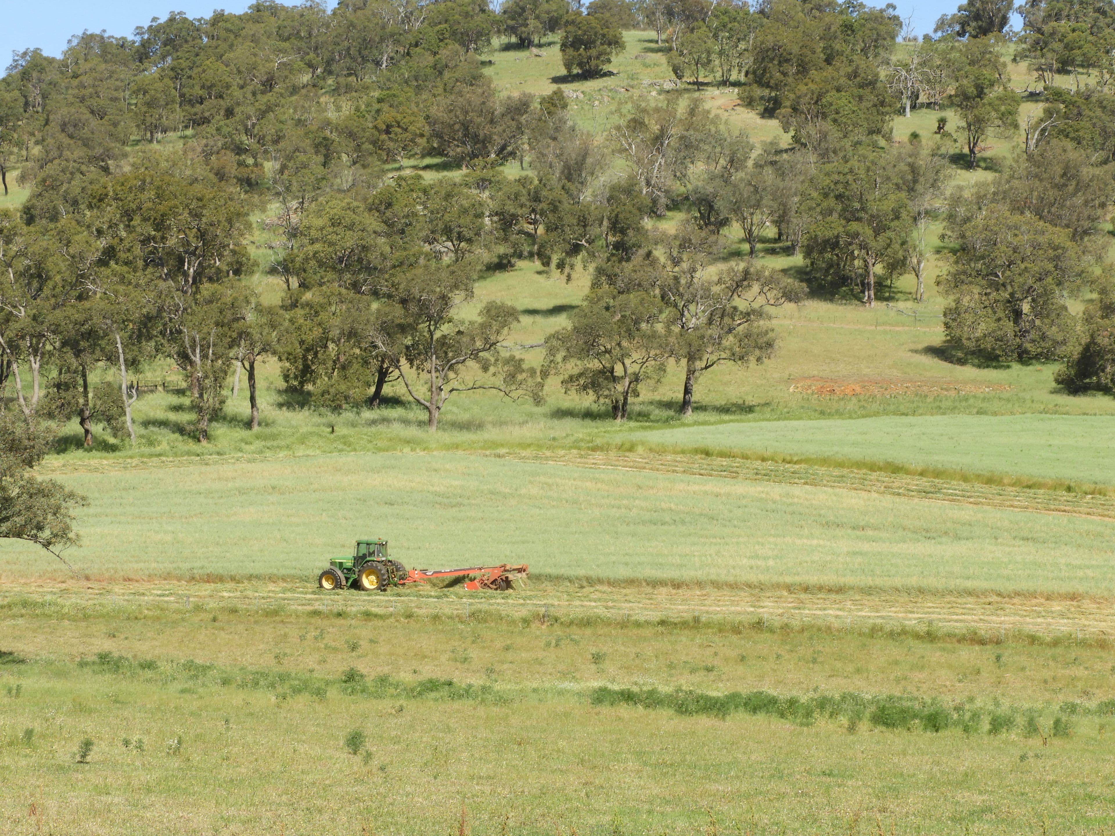 Lot 713 Chittering Rd Lower Chittering, Chittering WA 6084, Chittering - Thumbnail 4