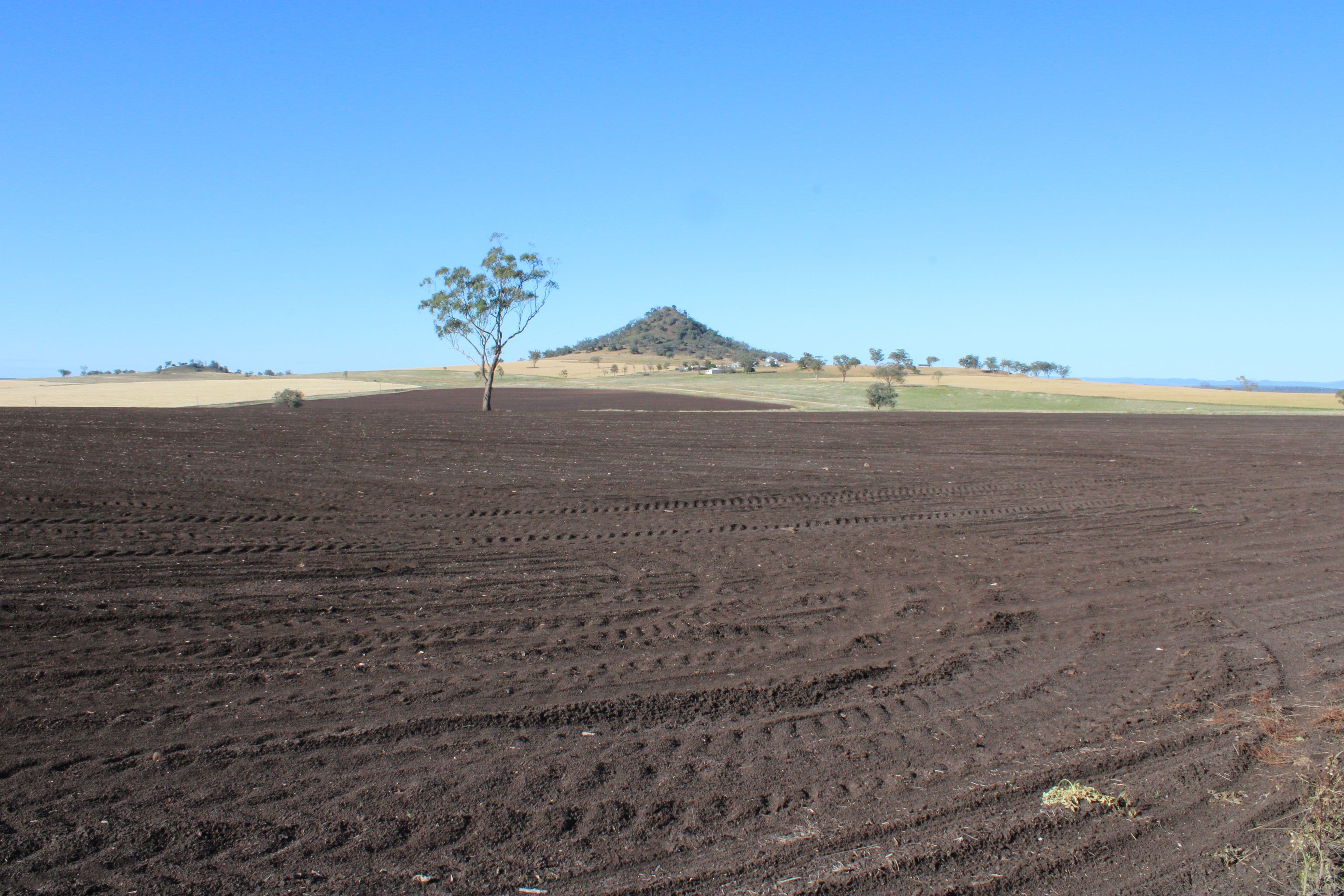 1 Glenesk Road, Delungra NSW 2403, Delungra - Thumbnail 2