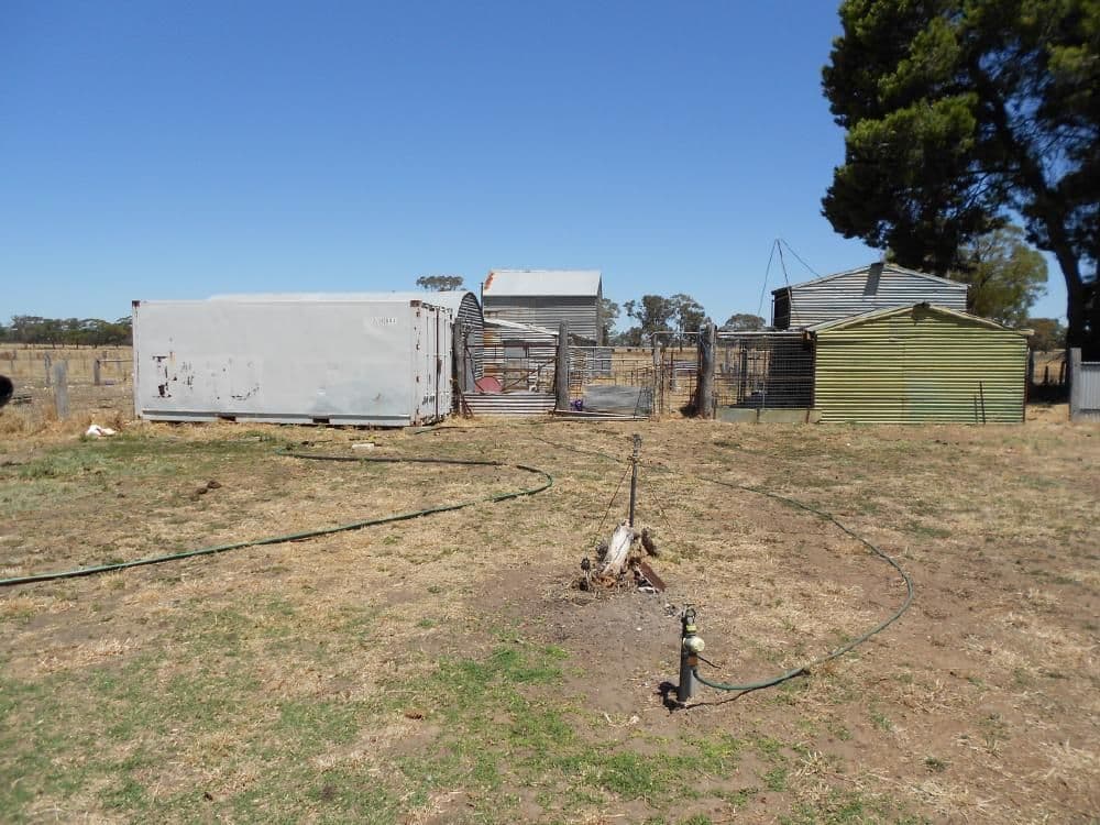 20 Hilliers Road, Mundulla SA 5270, Mundulla - Thumbnail 7