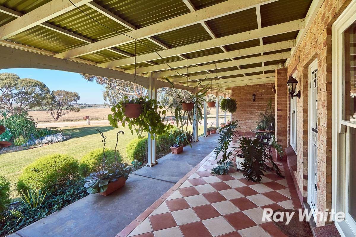 249 Burwood Road, Wistow SA 5251, Wistow - Thumbnail 2