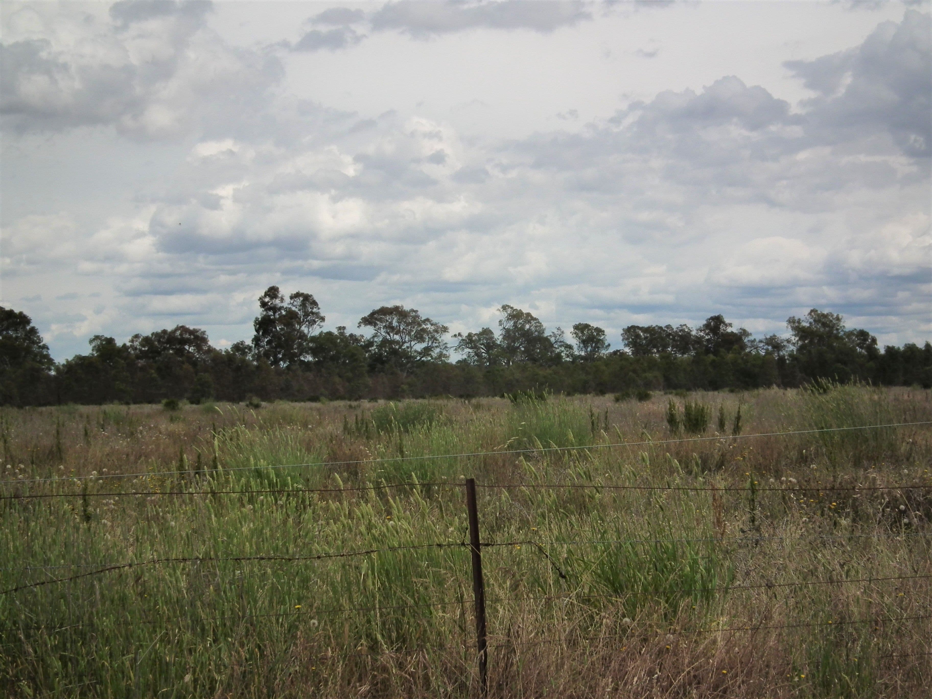 22 Wormangal-Wahring Road, Nagambie VIC 3608, Nagambie - Thumbnail 6