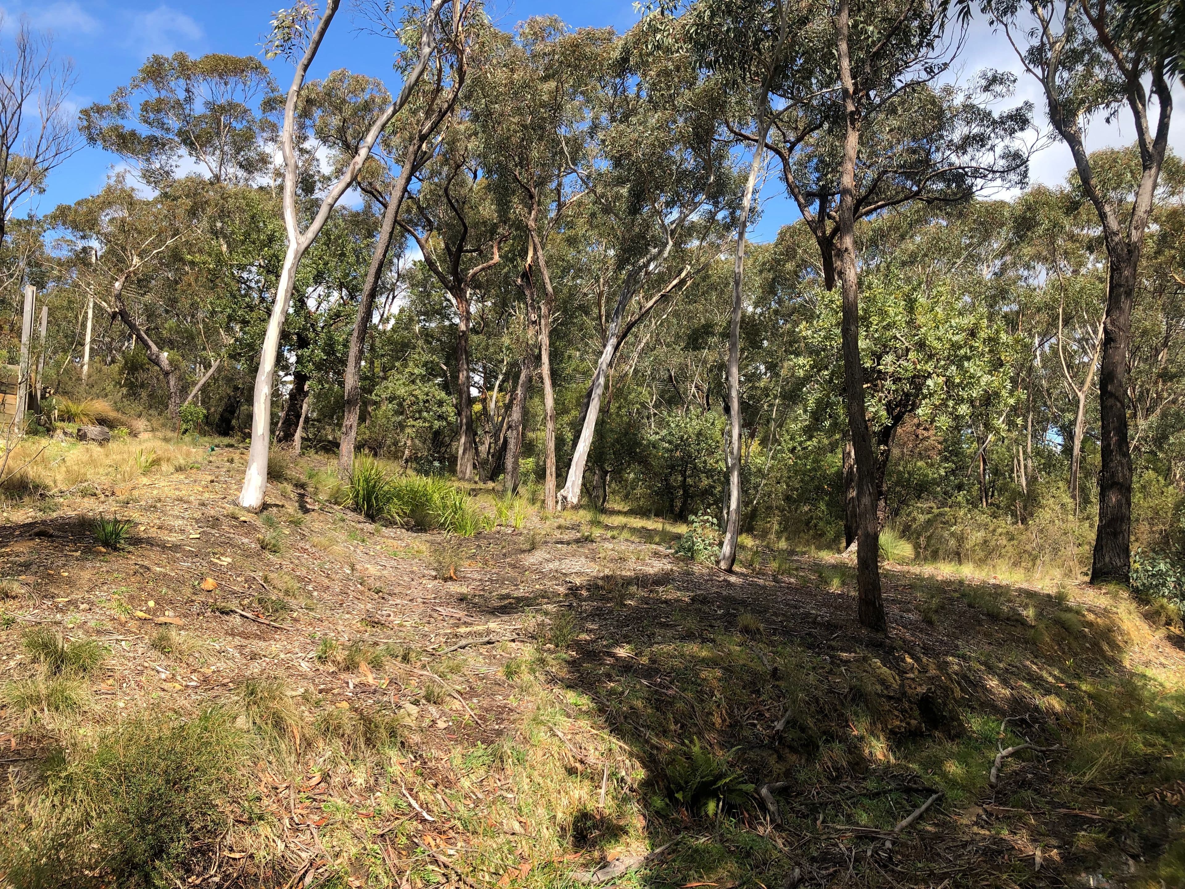25 Innes Road, Mount Victoria NSW 2786, Mount Victoria - Thumbnail 4