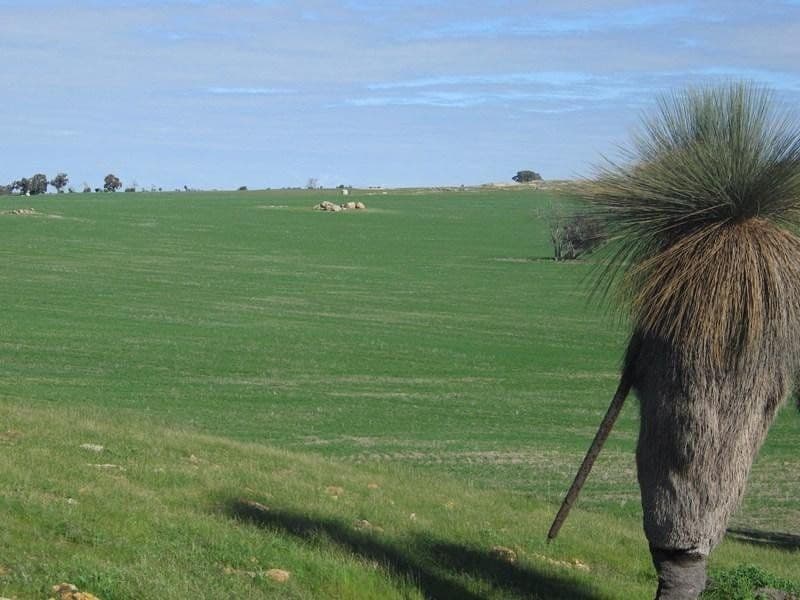 Goldsmiths Wickepin-Pingelly Road, Pingelly WA 6308, Pingelly - Thumbnail 3