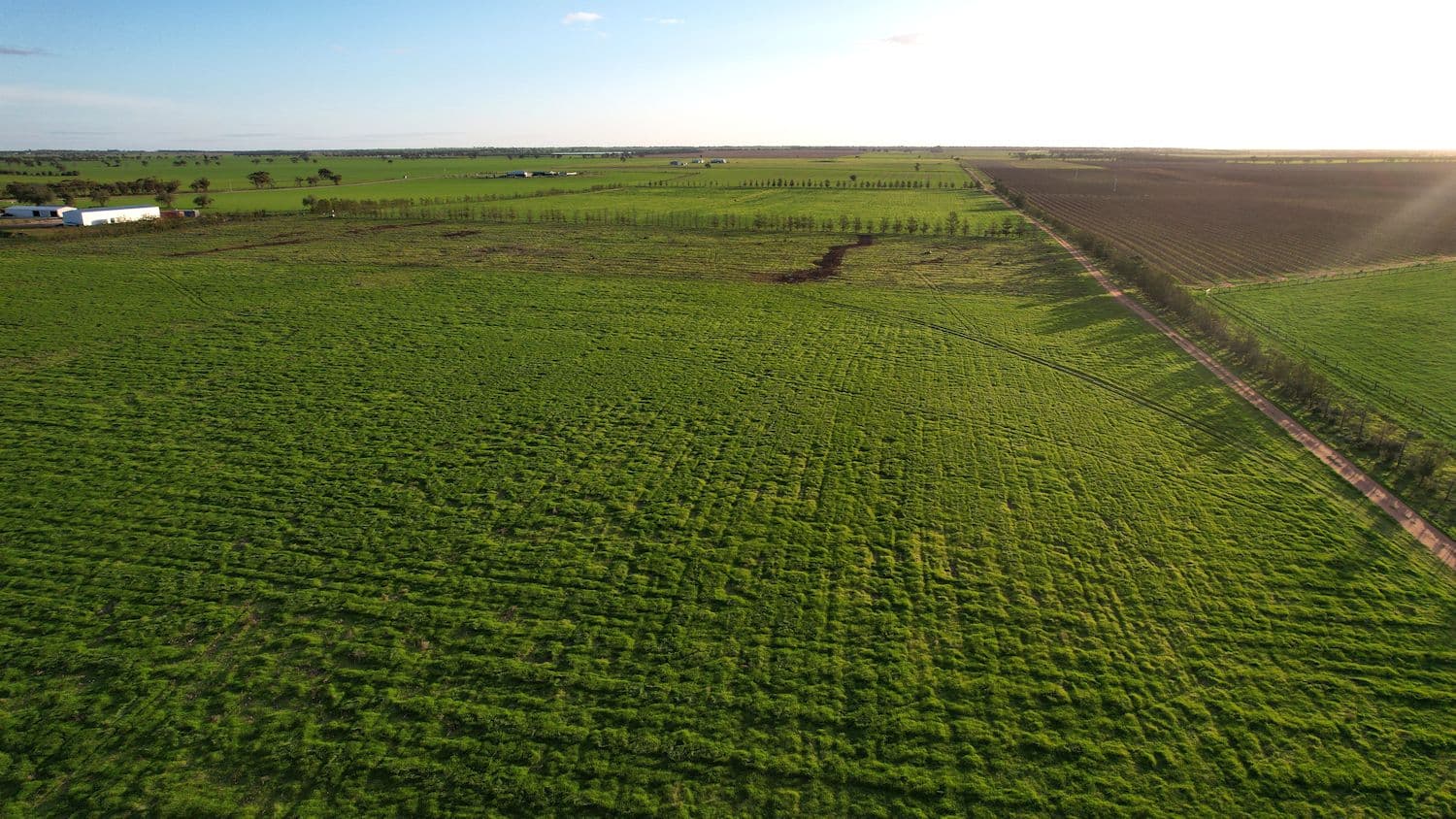 345 Woorinen Road, Swan Hill VIC 3585, Swan Hill - Thumbnail 5