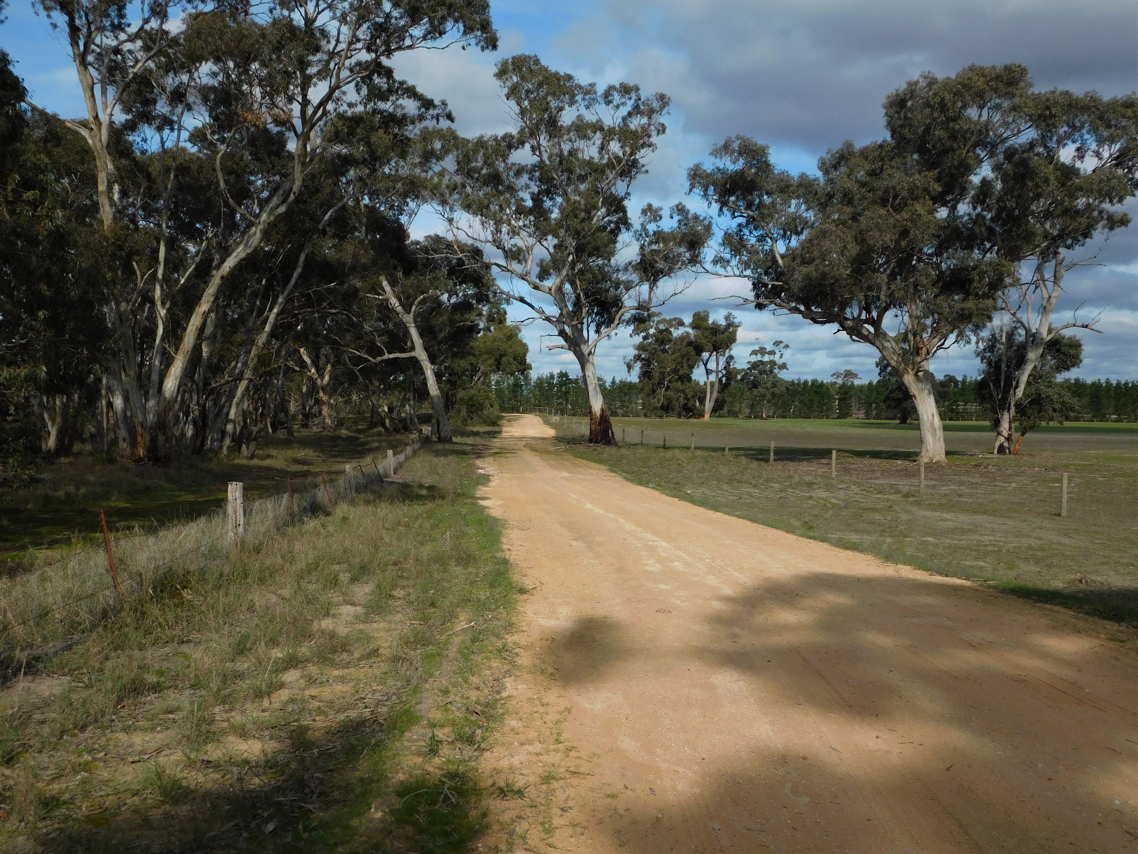 Lot 8 Bangham Road, Bangham SA 5268, Bangham - Thumbnail 2