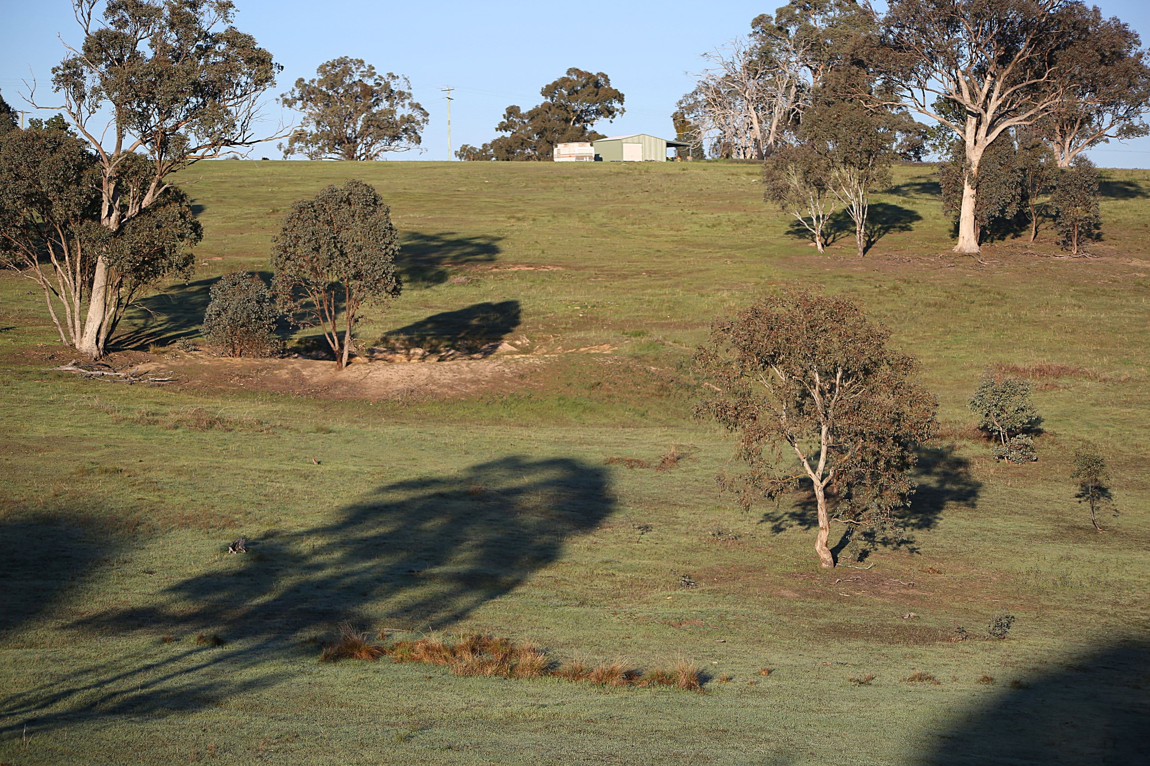 268 Horton Drive, Woodstock NSW 2793, Woodstock - Thumbnail 2