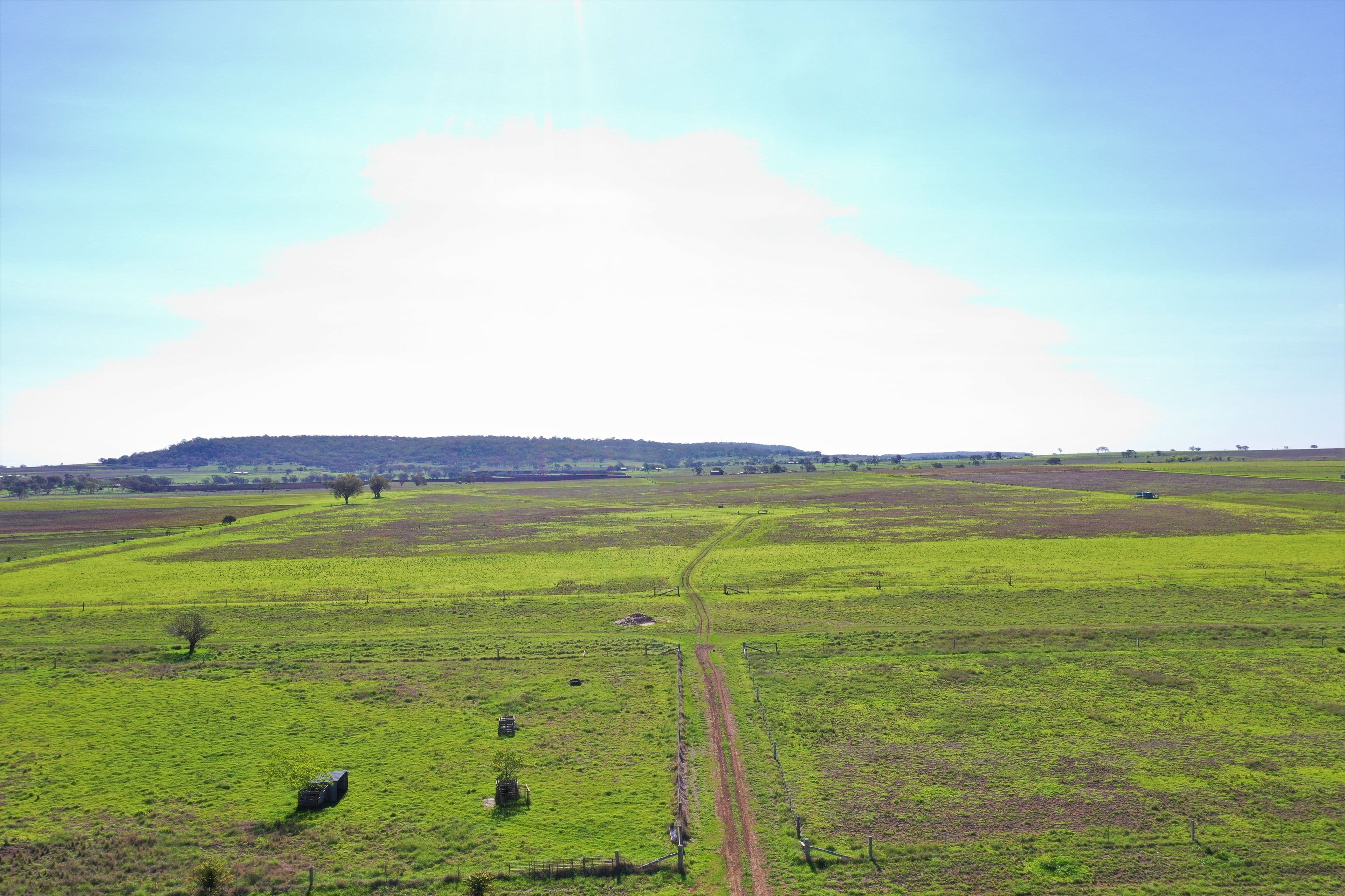 164 Palmer Road, NOBBY QLD 4360, Nobby - Thumbnail 4