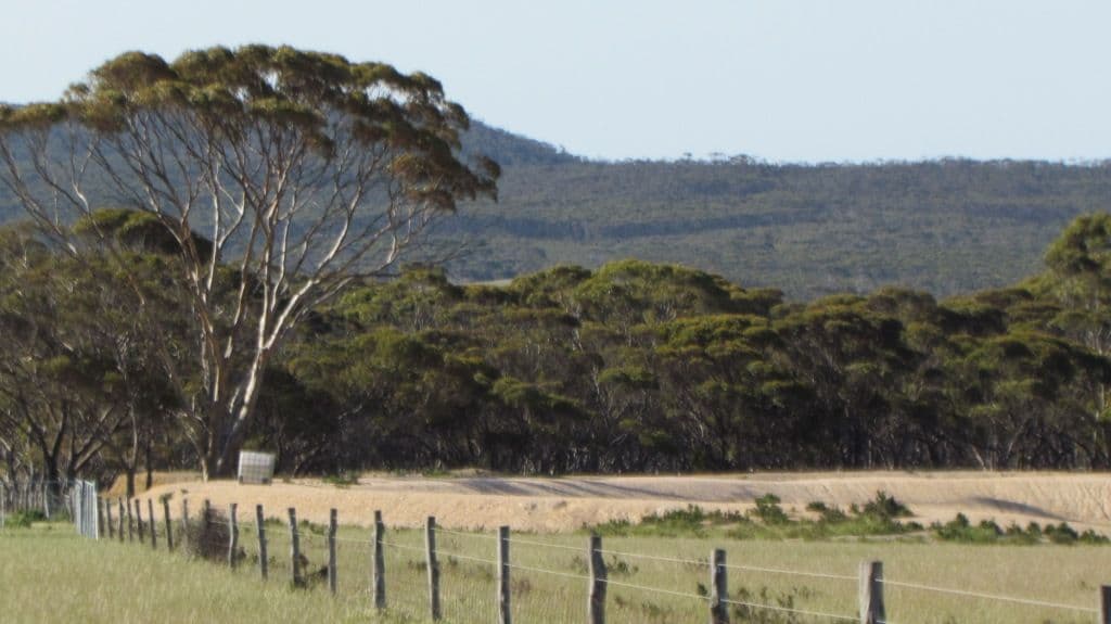 Lot 2 South Coast Highway, Ravensthorpe WA 6346, Ravensthorpe - Thumbnail 4