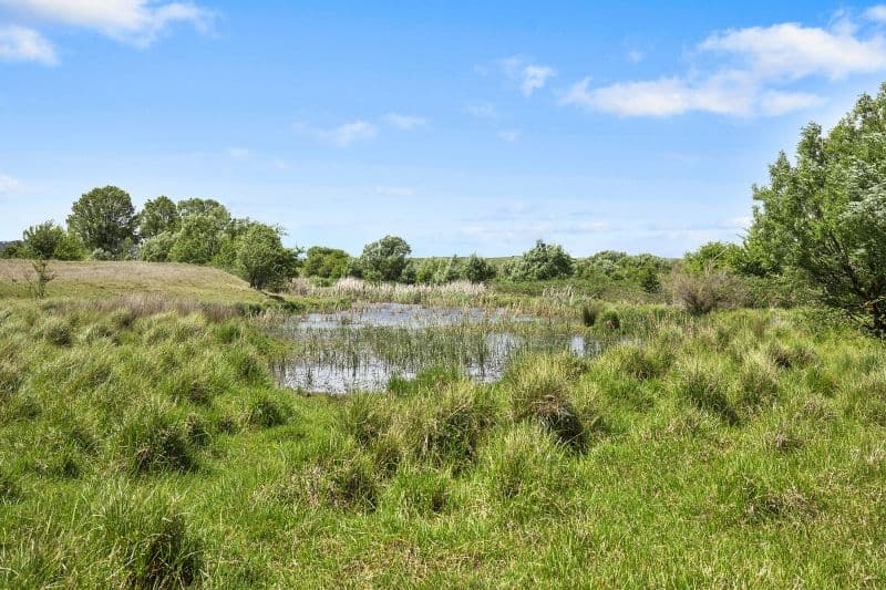 196 O'Briens Road, Braidwood NSW 2622, Braidwood - Thumbnail 4