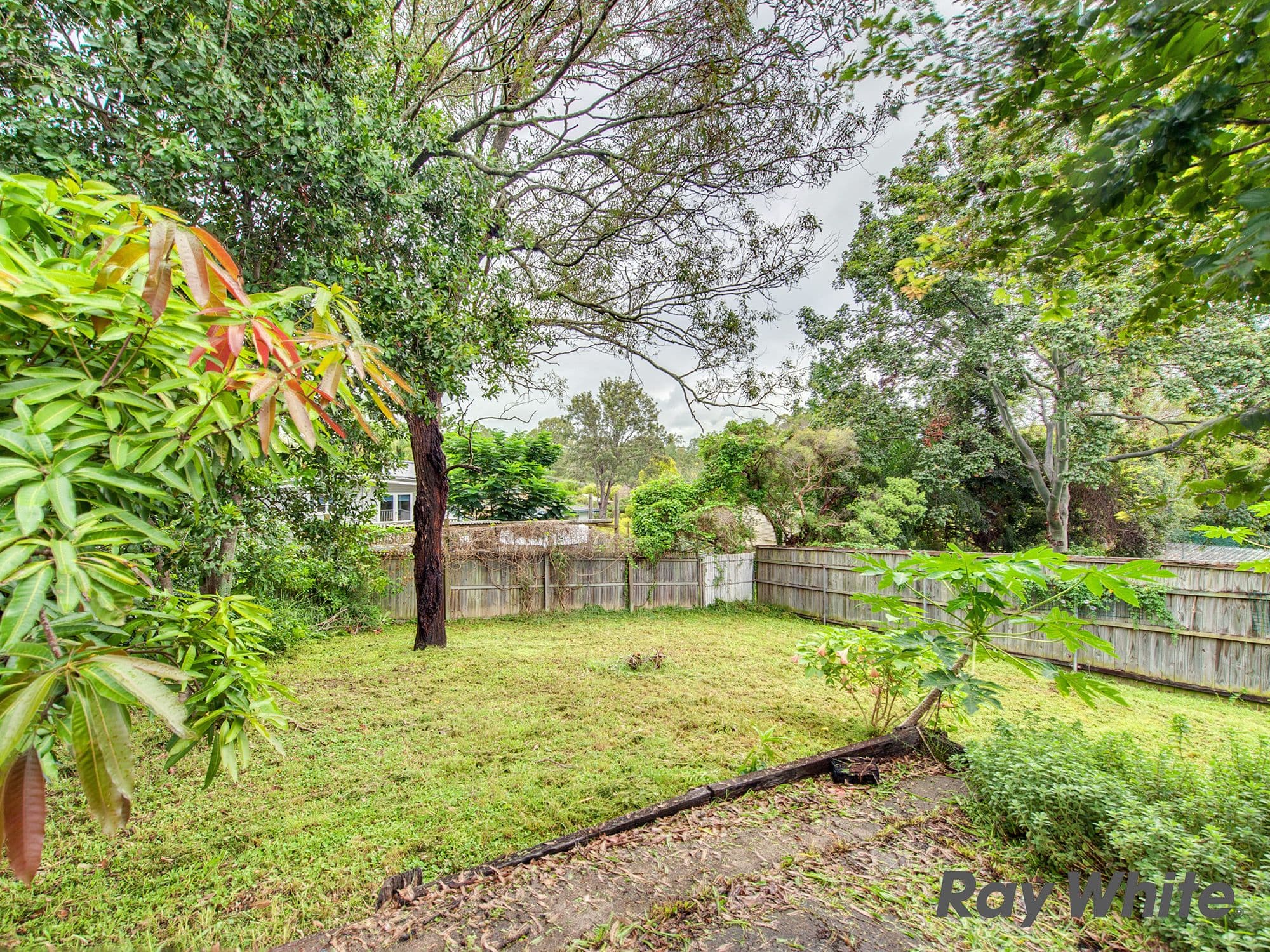 4 Dulin Street, Gailes QLD 4300, Gailes - Thumbnail 7