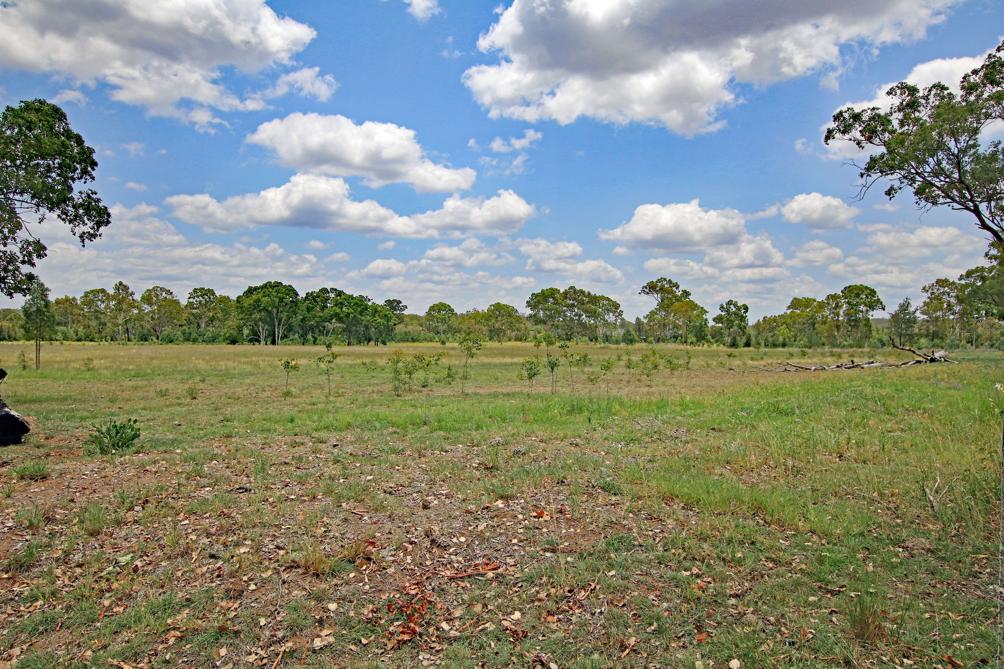 239 Golf Links Road, Monto QLD 4630, Monto - Thumbnail 7