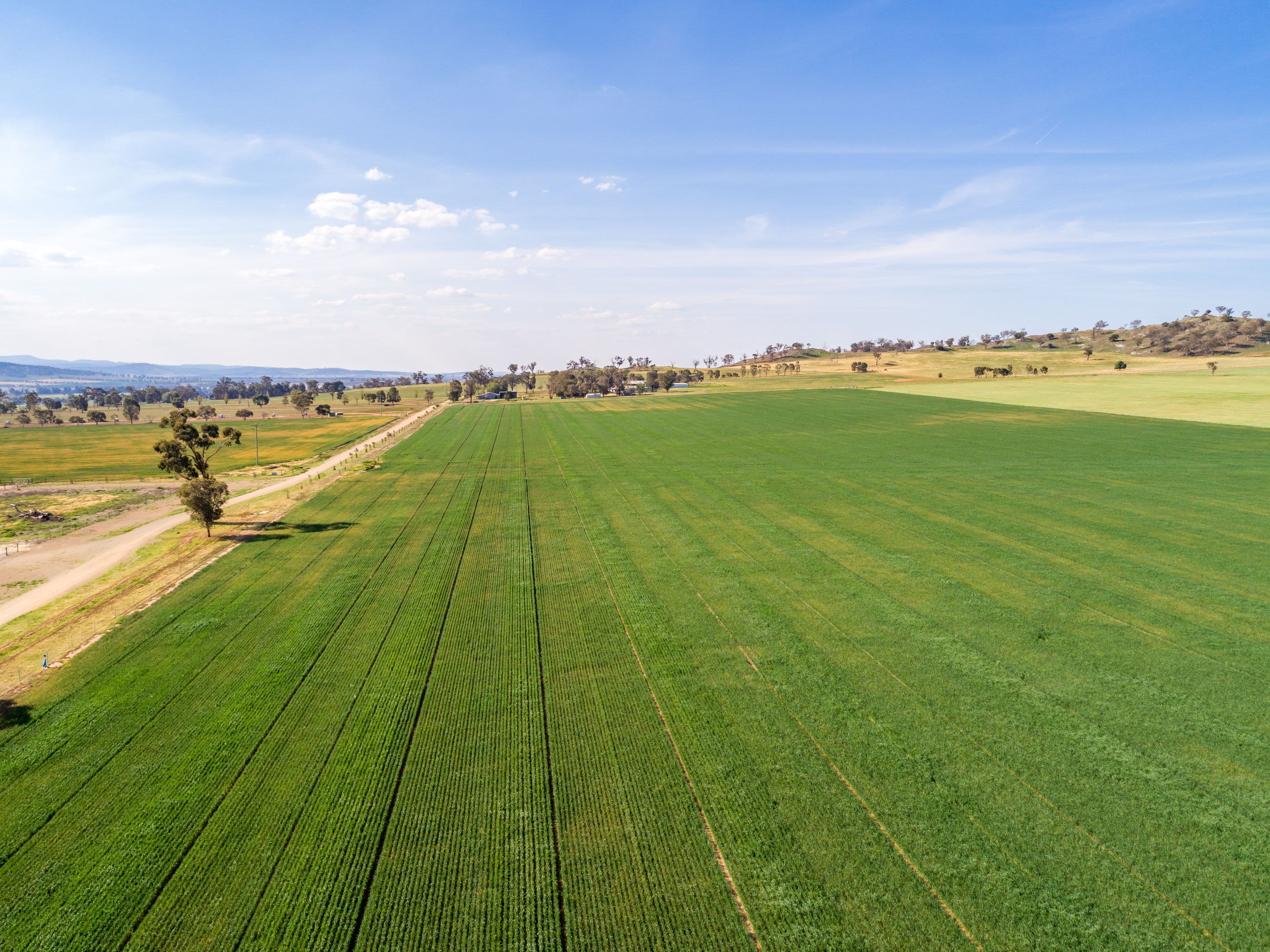 191 Troopers Road, Canowindra NSW 2804, Canowindra - Thumbnail 4