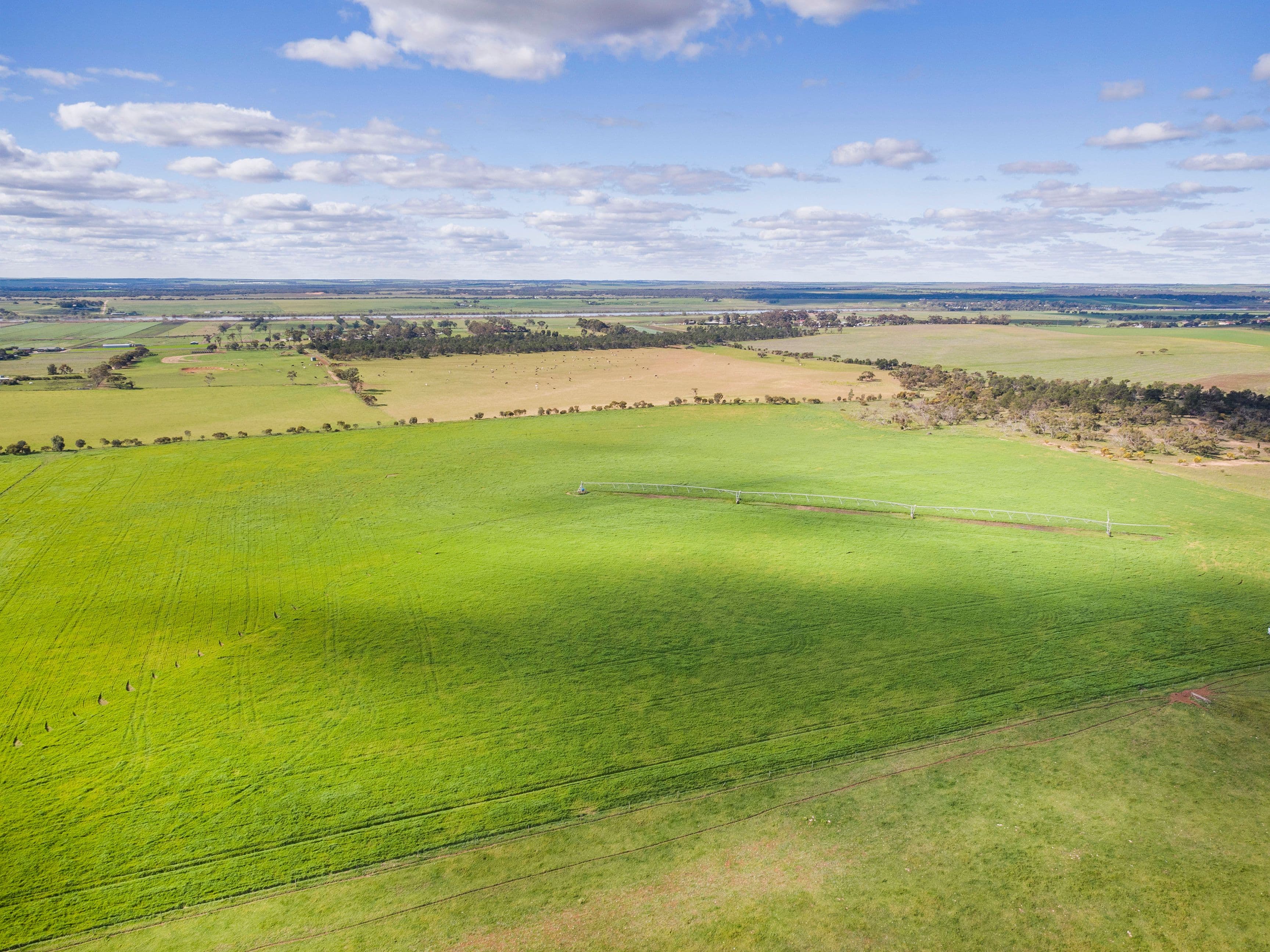 'Dieners' - Lot 1176 Longs Road, Woods Point SA 5253, Woods Point - Thumbnail 6