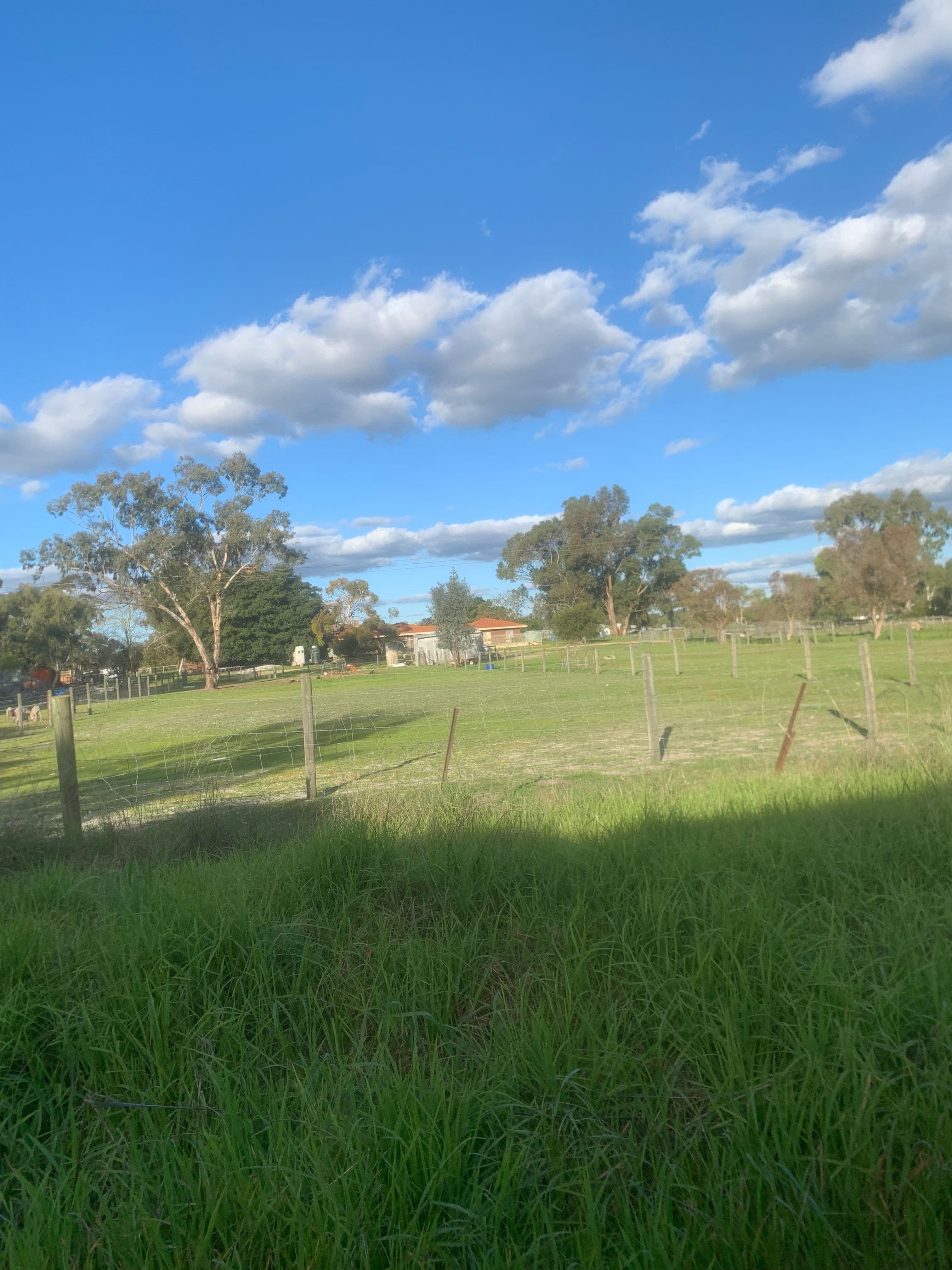 2/736 Rowley Road, Oakford WA 6121, Oakford - Thumbnail 8