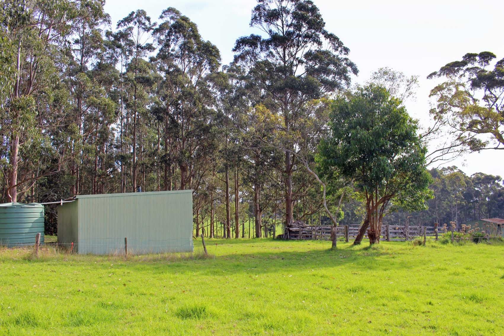 31 Pittam Way, Denmark WA 6333, Denmark - Thumbnail 4