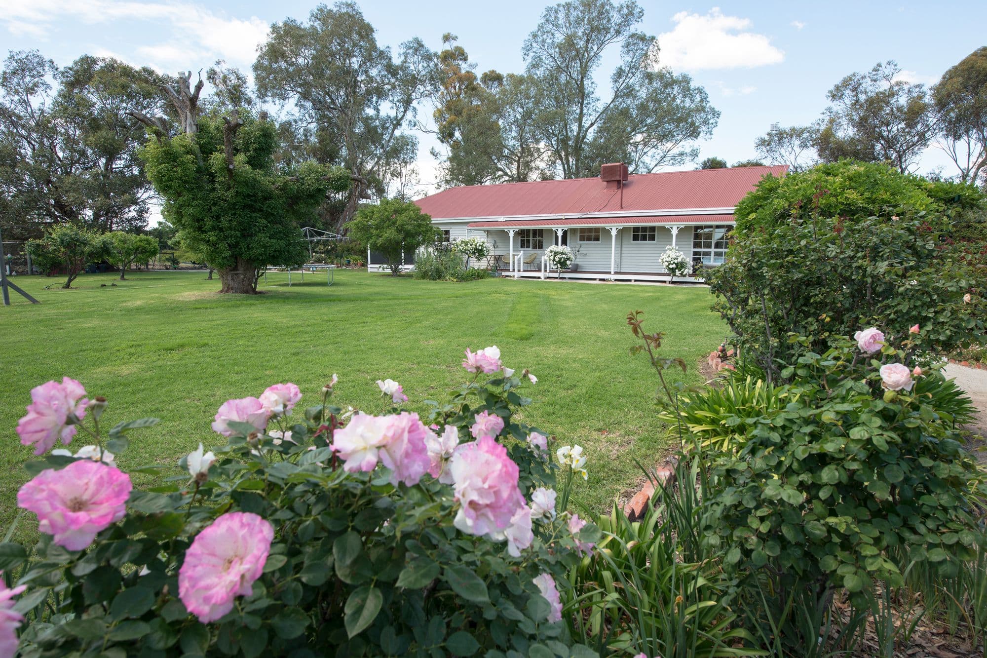 79 Oswin Road, Beverford VIC 3590, Beverford - Thumbnail 4