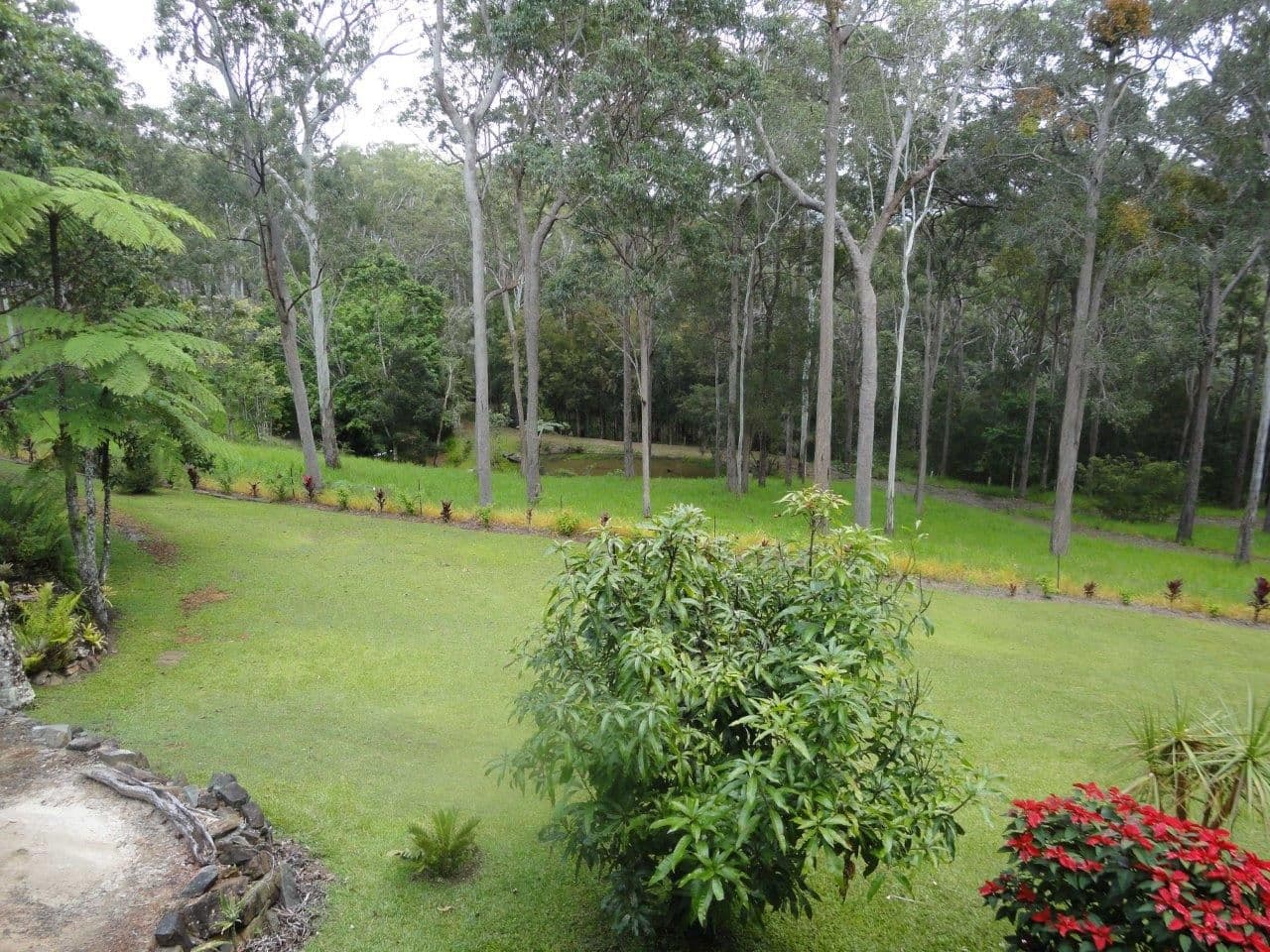 Wondecla QLD 4887, Wondecla - Thumbnail 4