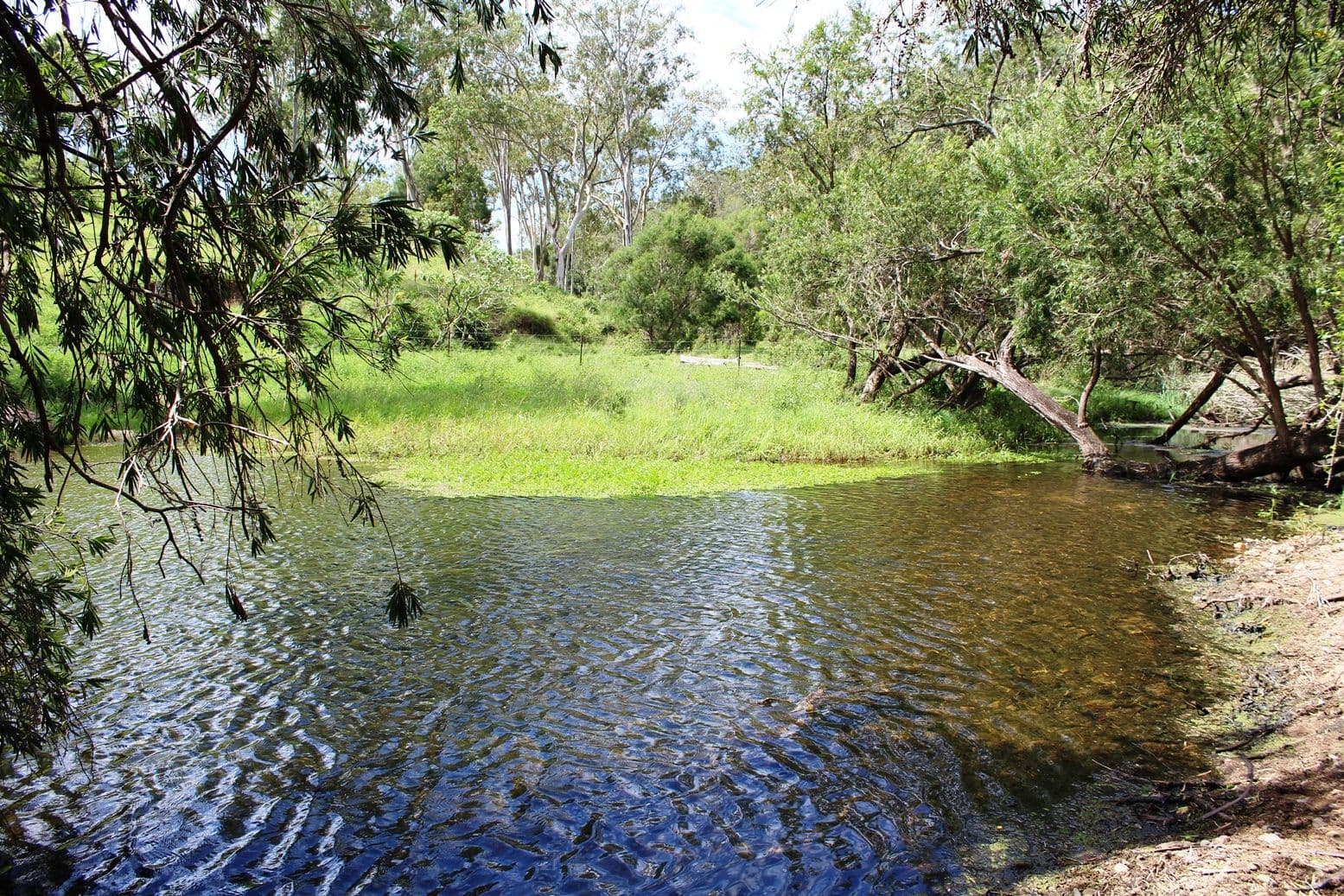 346 Cressbrook Creek Road, Biarra QLD 4313, Biarra - Thumbnail 6