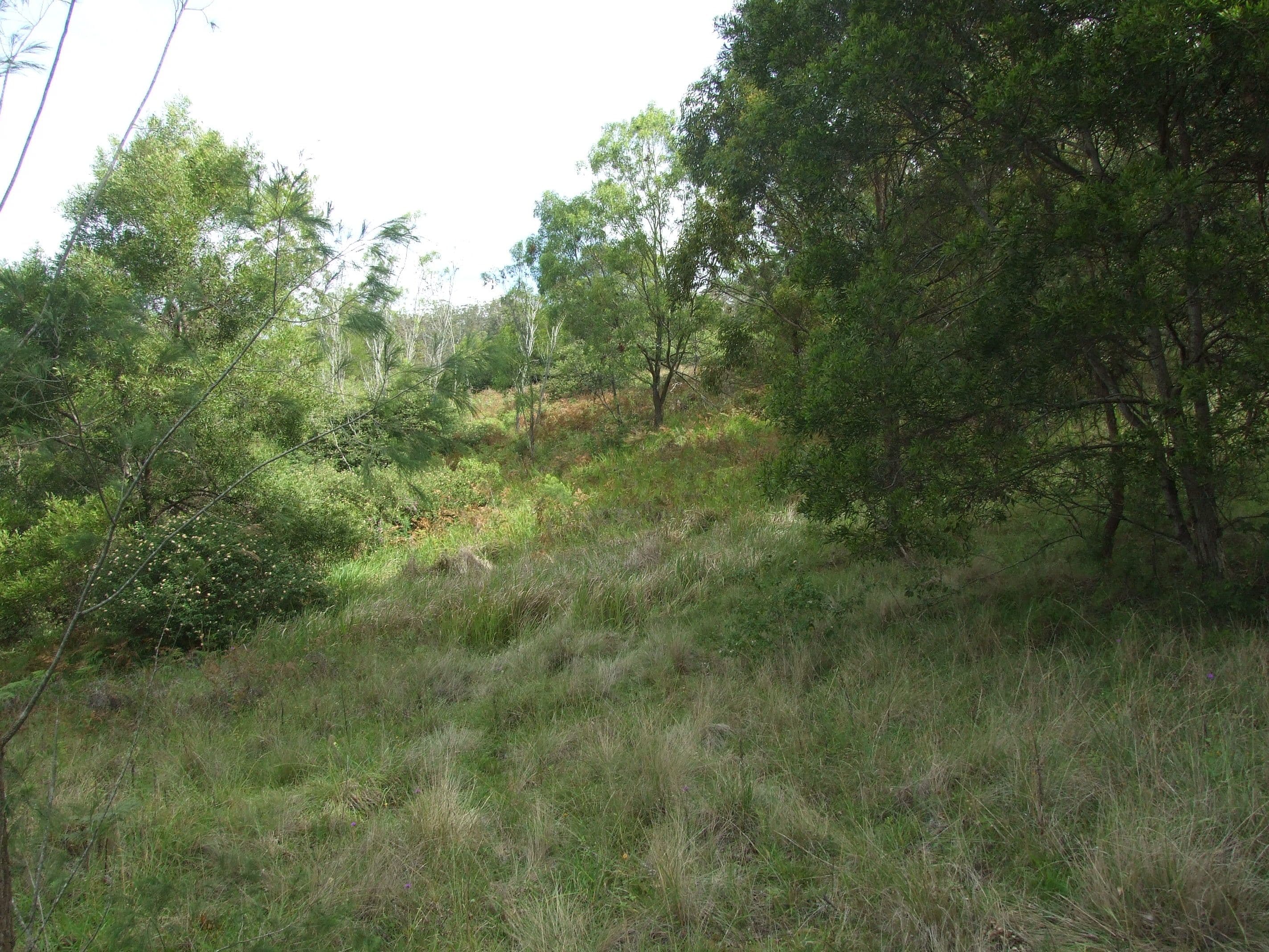 L47 Christy Road, Ravensbourne QLD 4352, Ravensbourne - Thumbnail 8