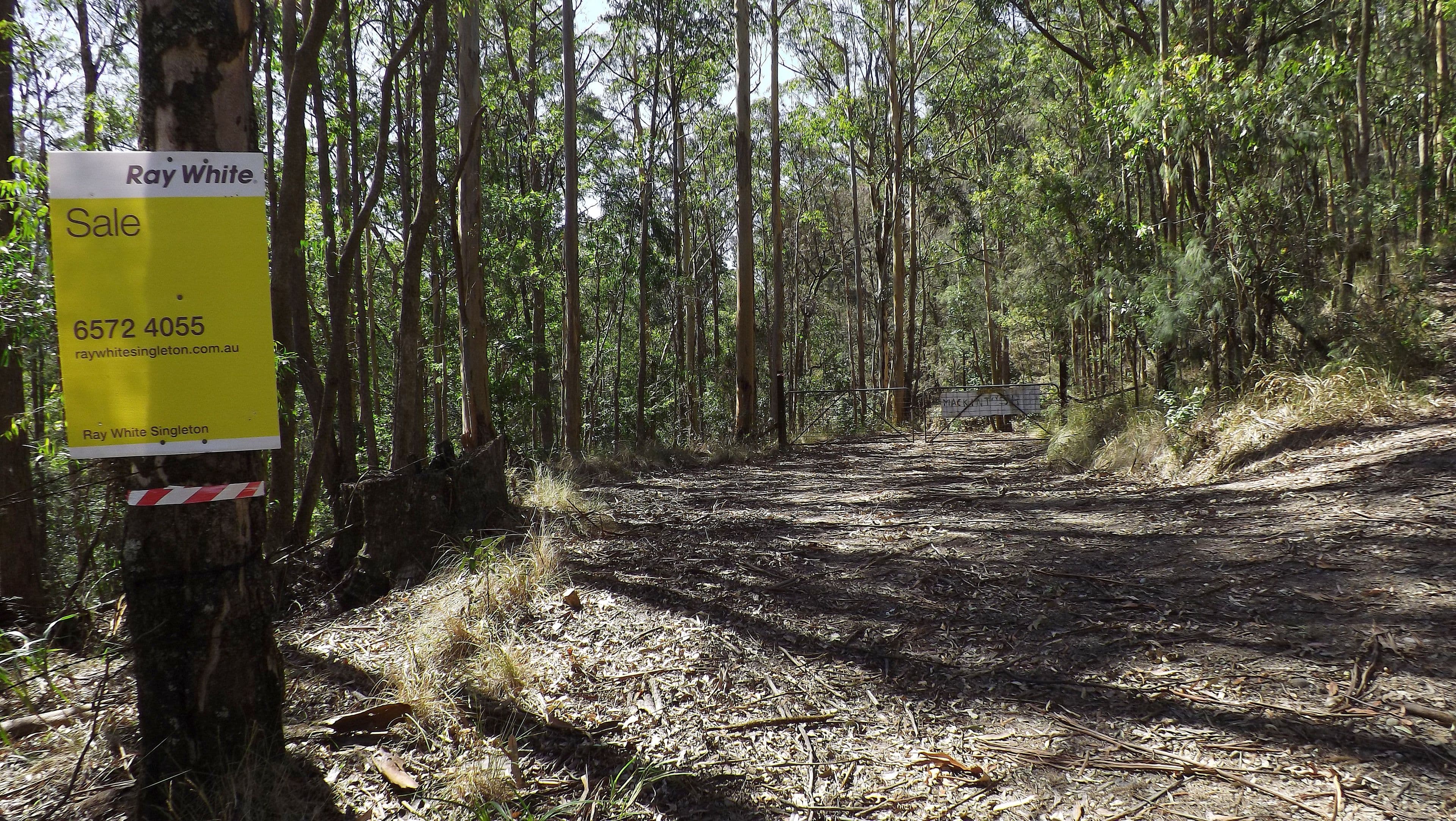 Lot 142 Mount Royal Road, Singleton NSW 2330, Singleton - Thumbnail 8