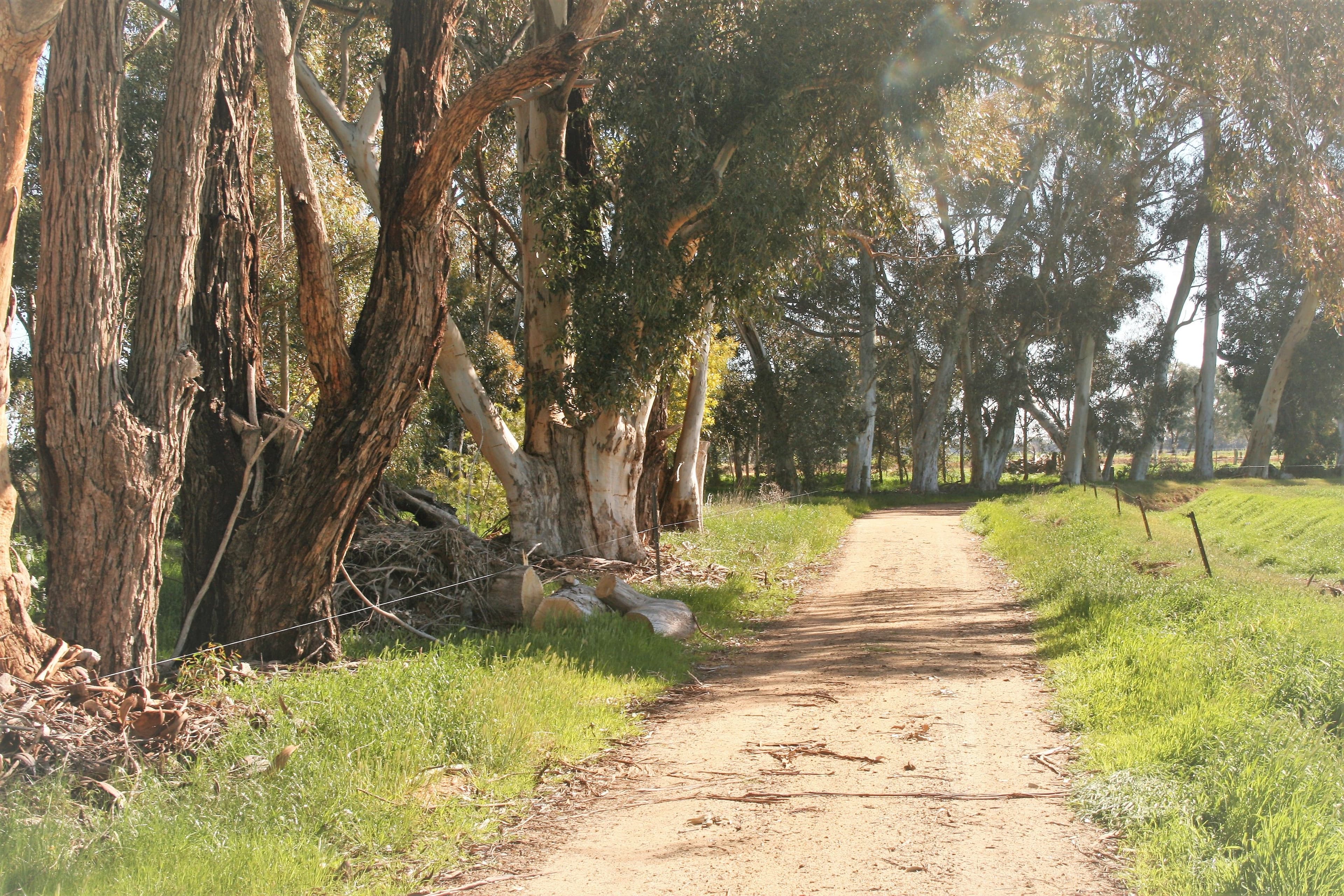 00 Minard Lane, Bamawm VIC 3561, Bamawm - Thumbnail 7