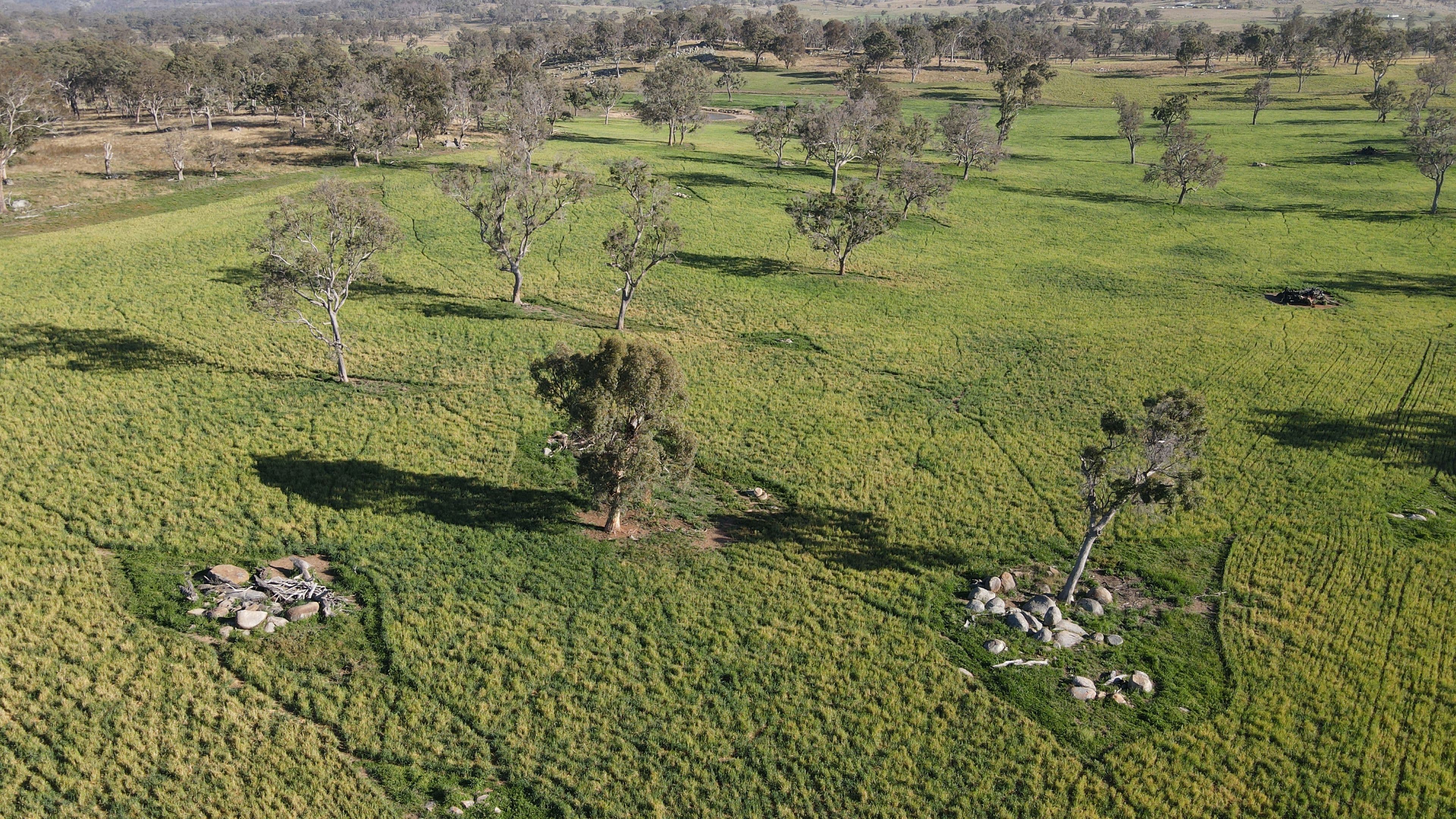 "Lower 4 Mile" Strachan Road, Deepwater NSW 2371, Deepwater - Thumbnail 2
