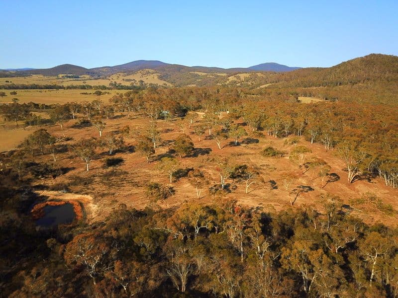 507 Little Bombay Road, Braidwood NSW 2622, Braidwood - Thumbnail 6