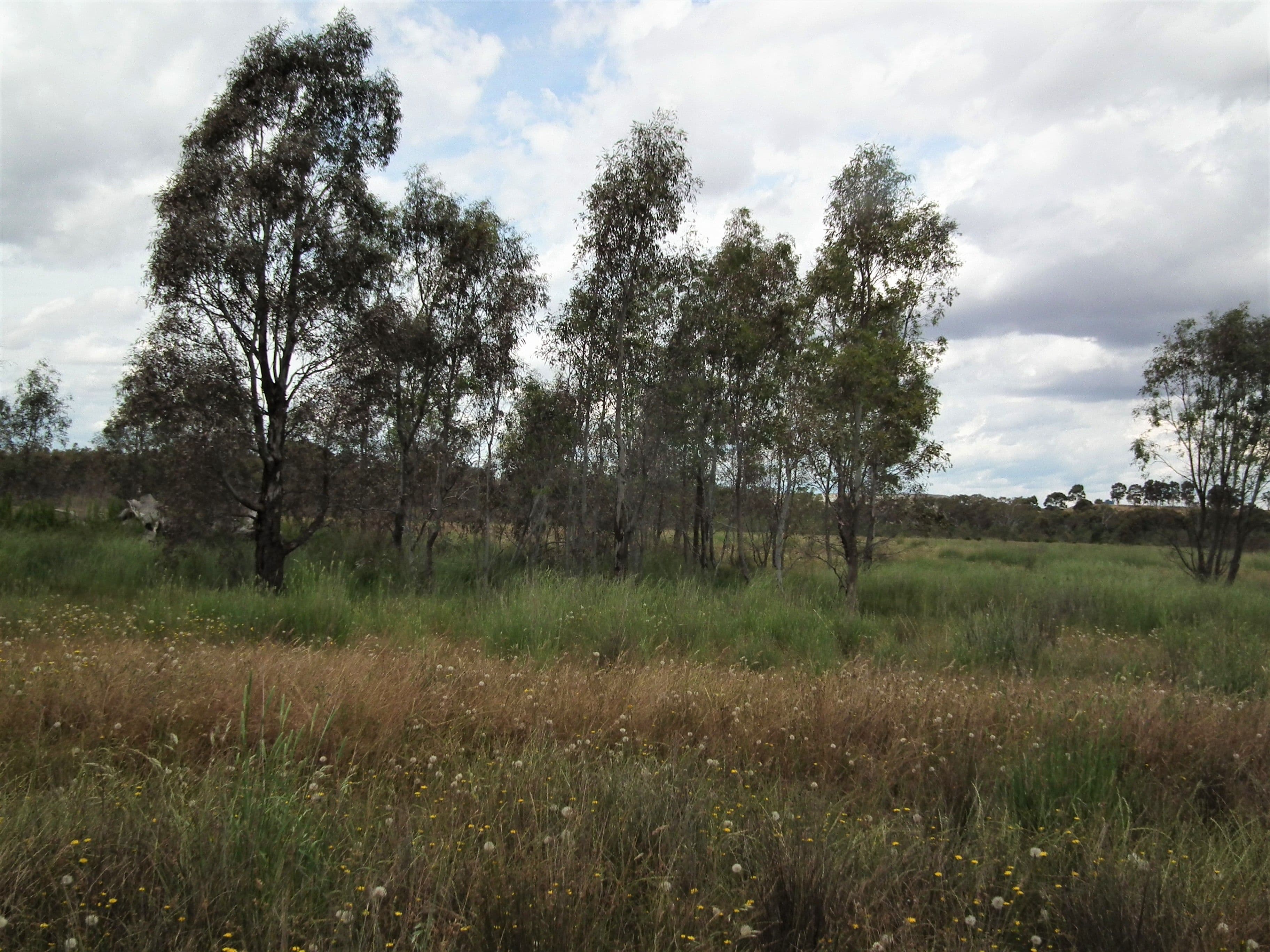 22 Wormangal-Wahring Road, Nagambie VIC 3608, Nagambie - Thumbnail 3