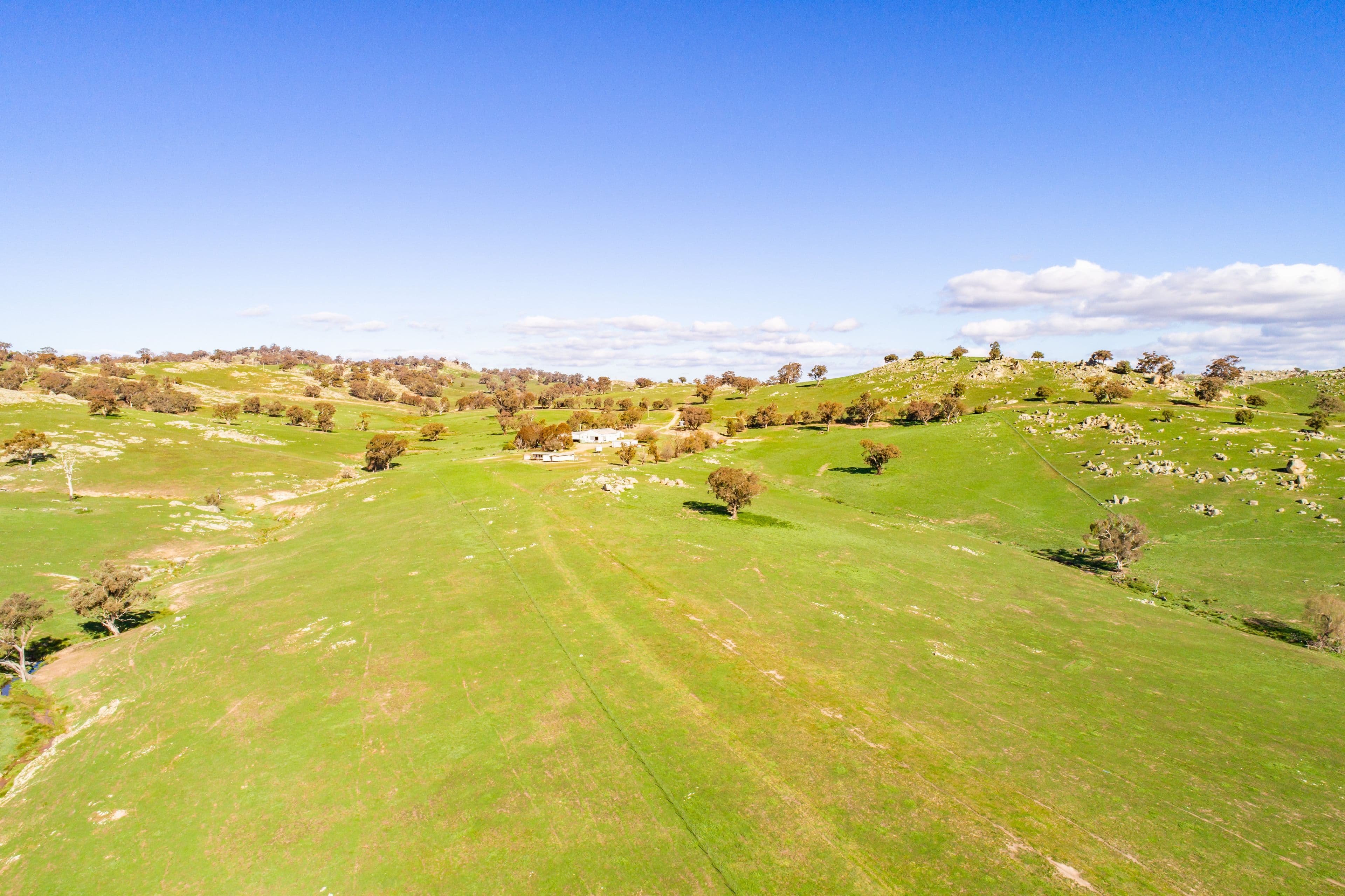 635 Decca Road, Bigga NSW 2583, Bigga - Thumbnail 6
