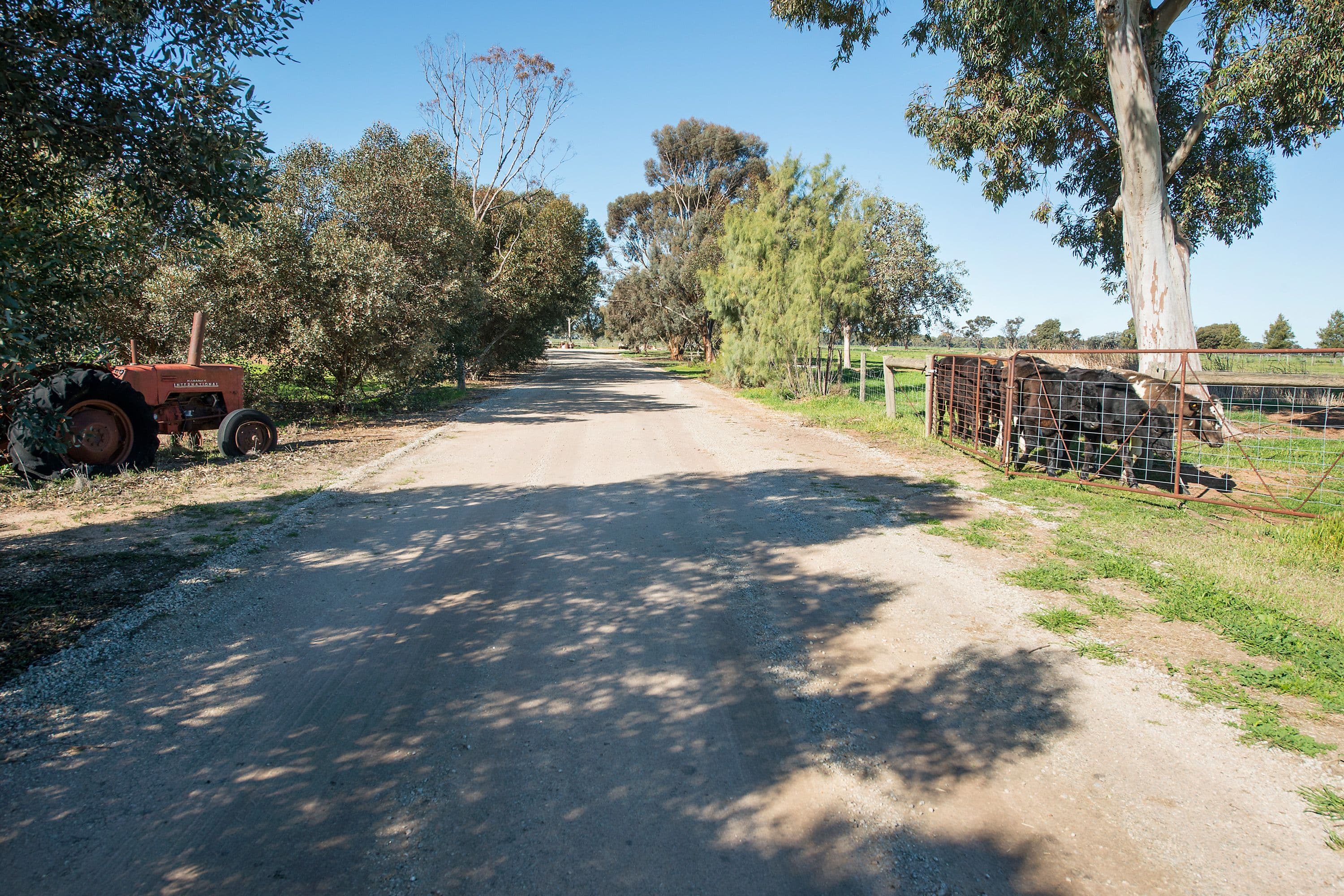 156 Maher Road, Swan Hill VIC 3585, Swan Hill - Thumbnail 7