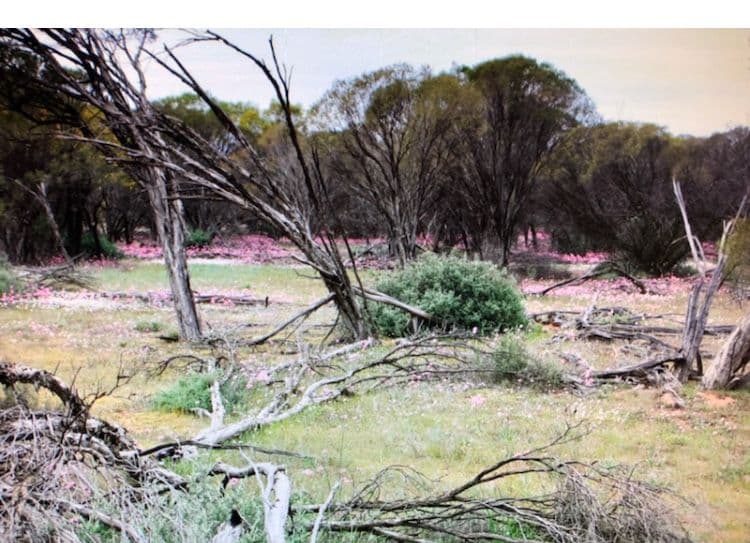 Lot 7112 Wubin Mullewa Road, Latham WA 6616, Latham - Thumbnail 3