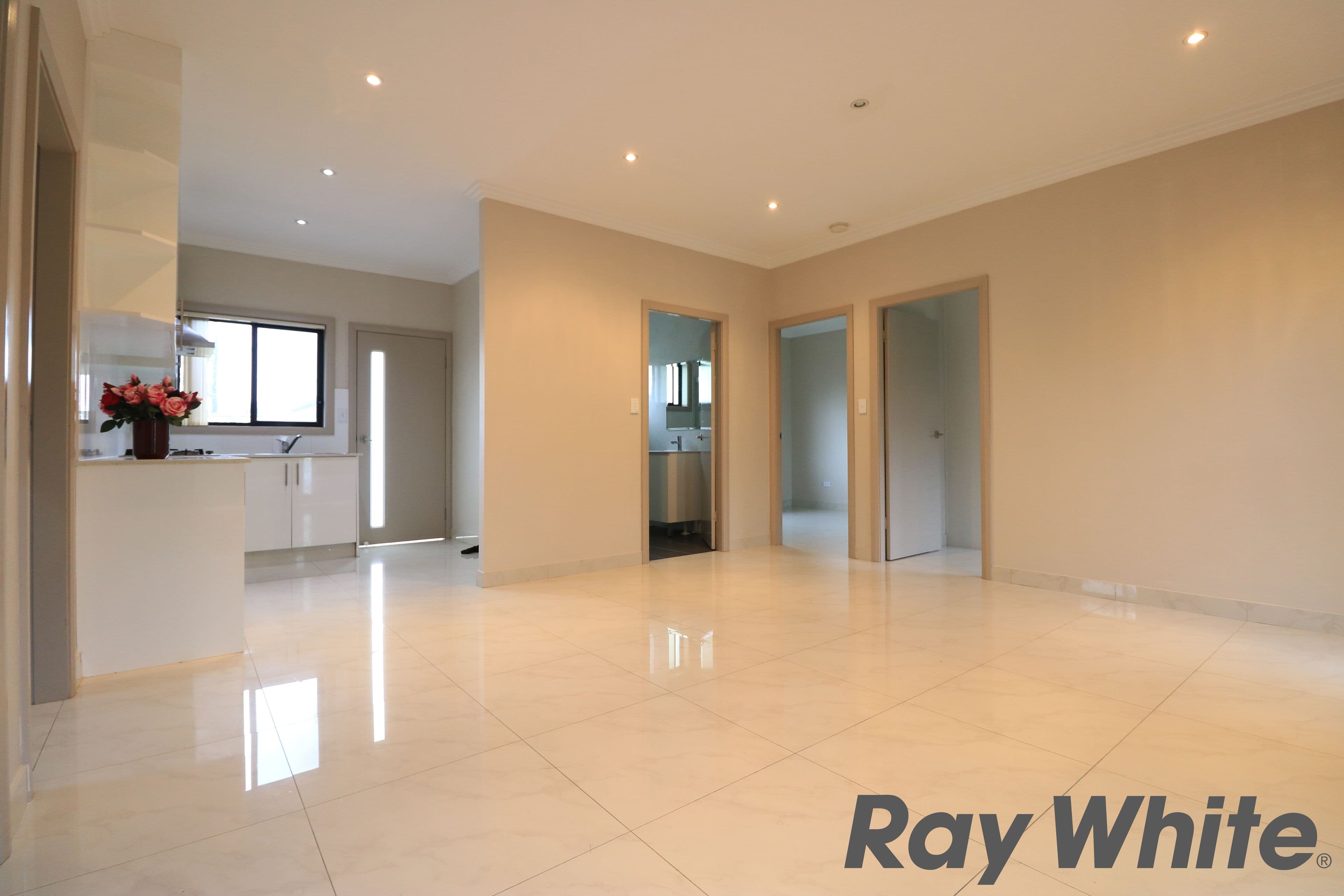 55 Hydrae Street, Revesby NSW 2212, Revesby - Thumbnail 2