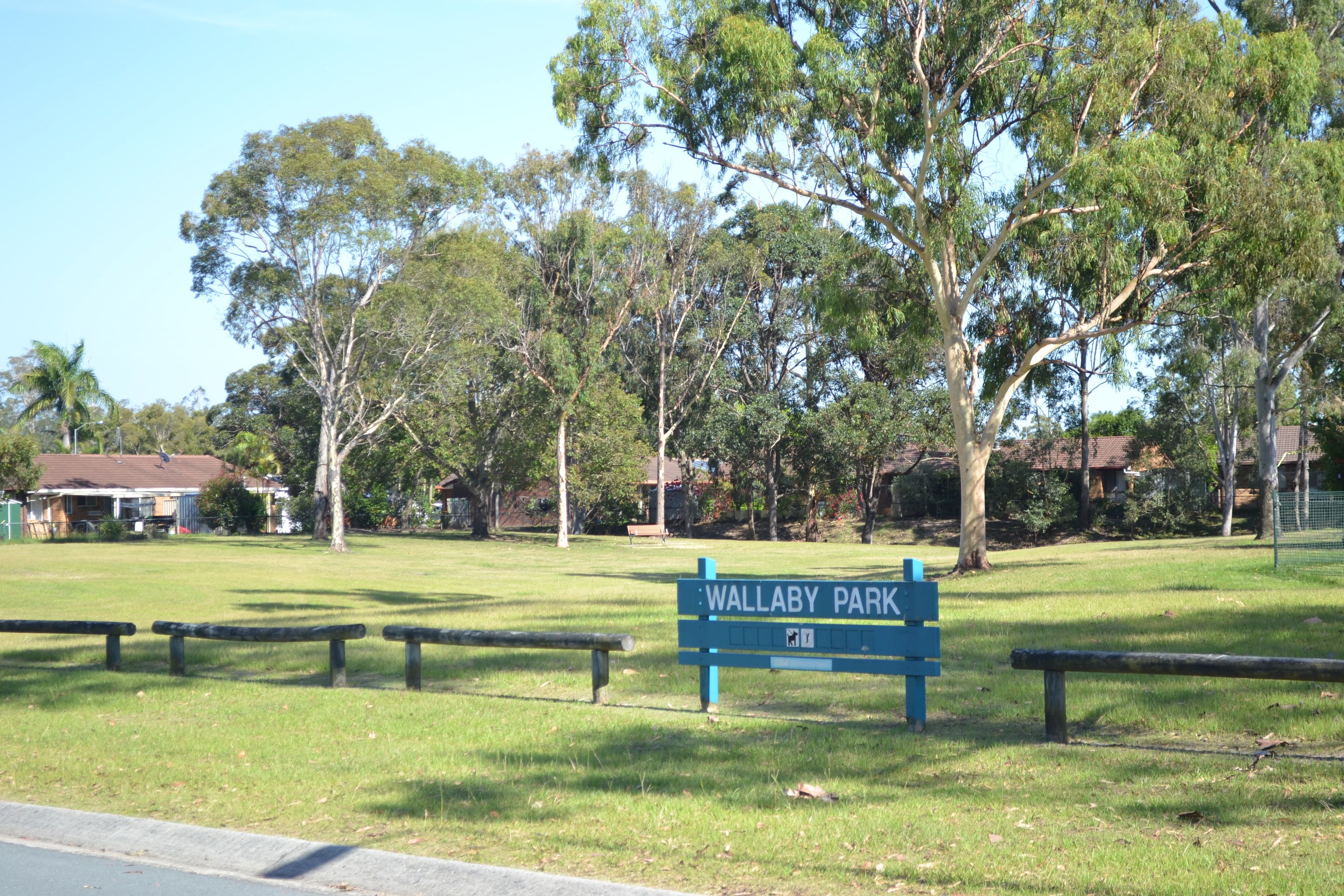30 Marsupial Drive, Coombabah QLD 4216, Coombabah - Thumbnail 4