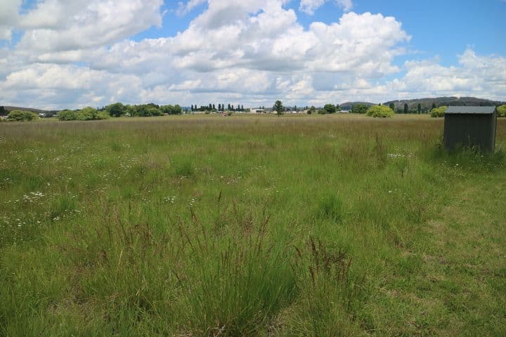 538A Grey, Glen Innes NSW 2370, Glen Innes - Thumbnail 2