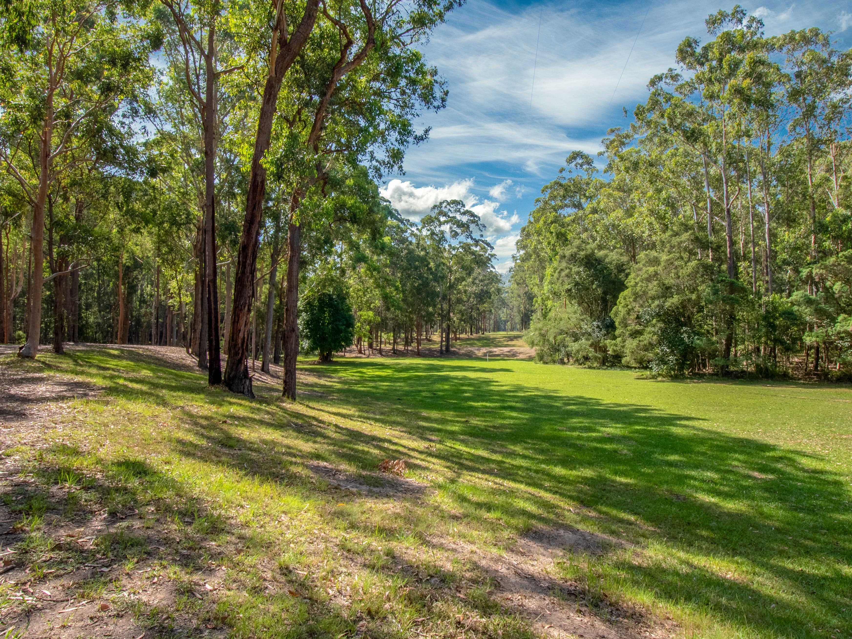 355 Mount Nellinda Road, Cooranbong NSW 2265, Cooranbong - Thumbnail 3